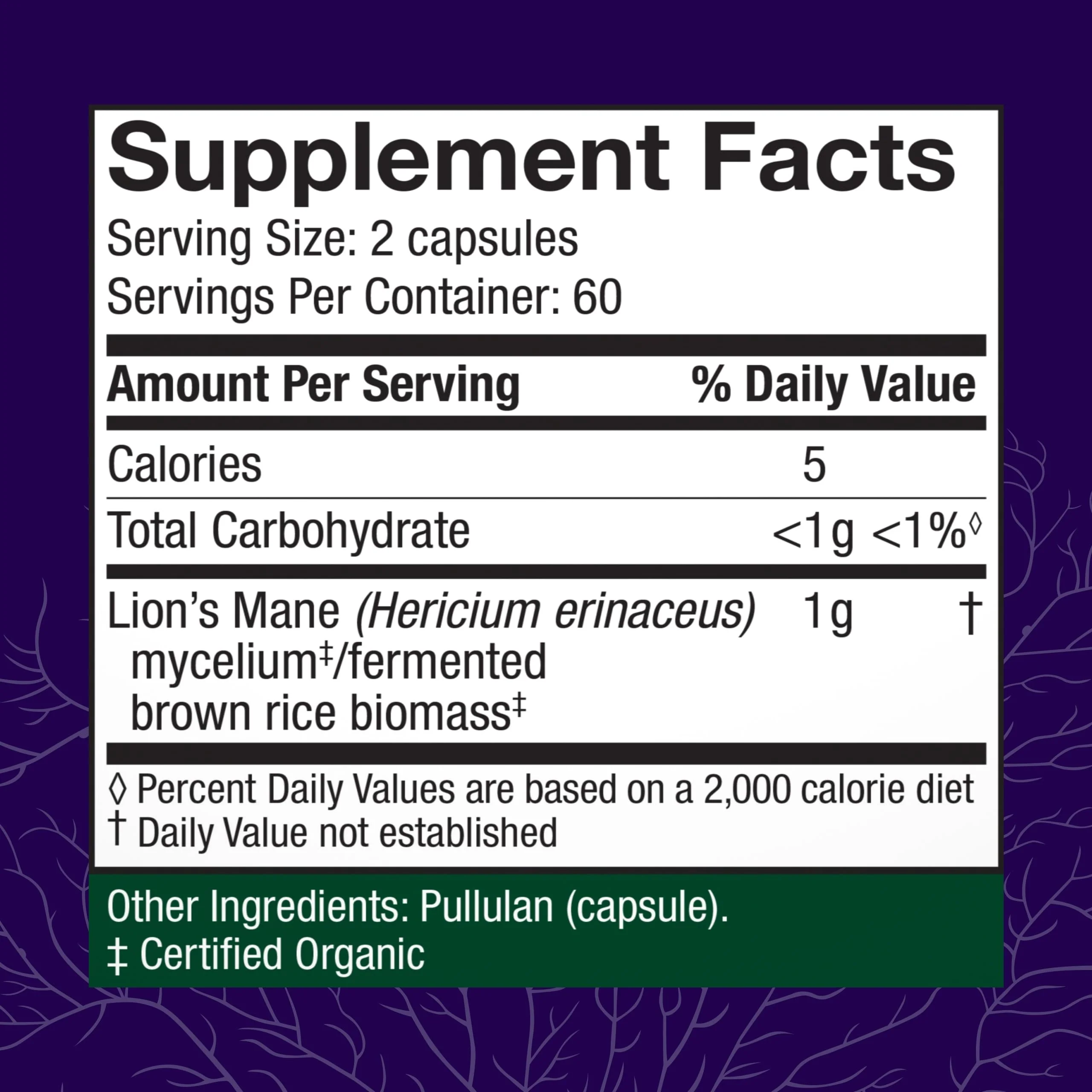 Host Defense Mushrooms Lion's Mane – Brain Health, Focus & Memory (120 Capsules) - Image 3