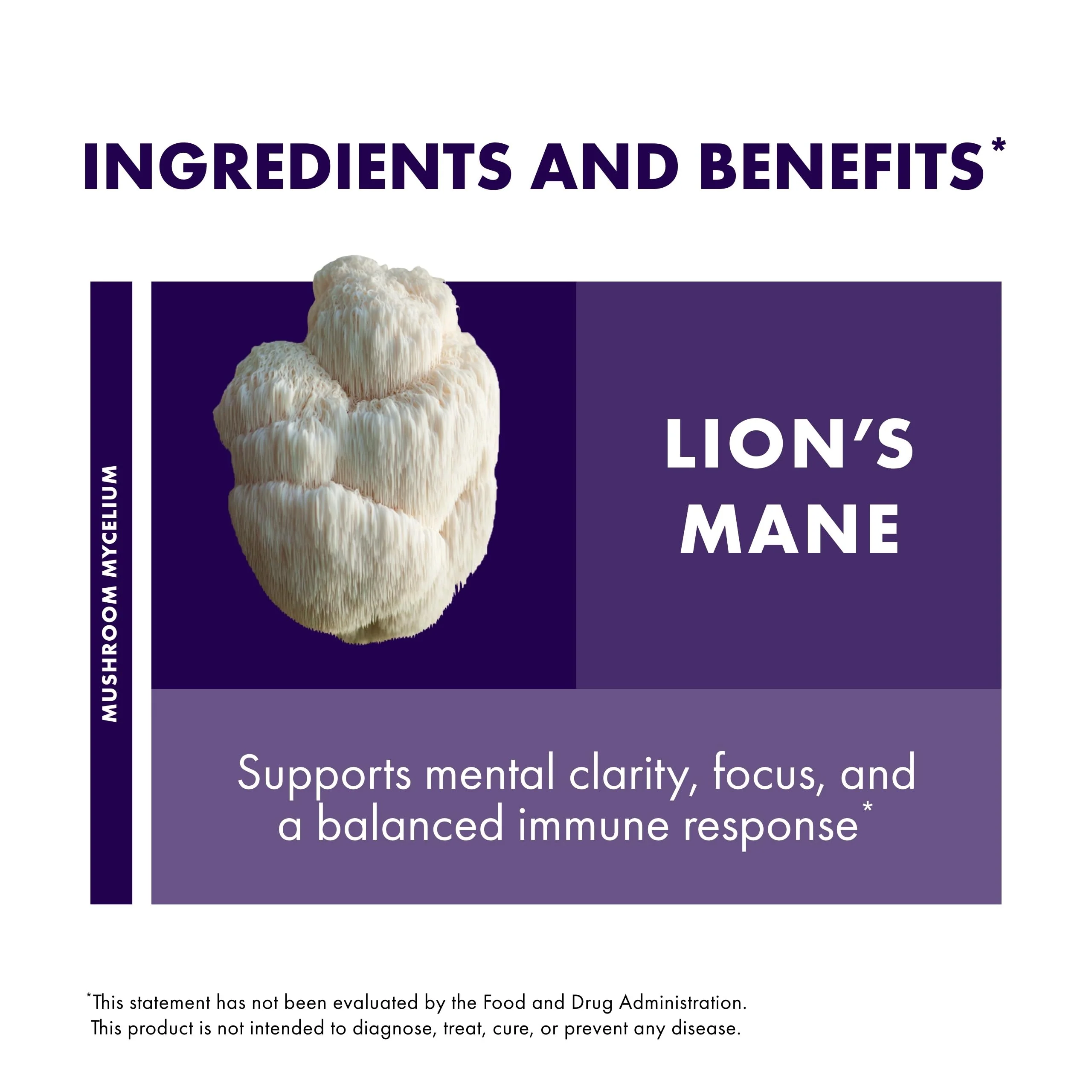 Host Defense Mushrooms Lion's Mane – Brain Health, Focus & Memory (120 Capsules) - Image 6