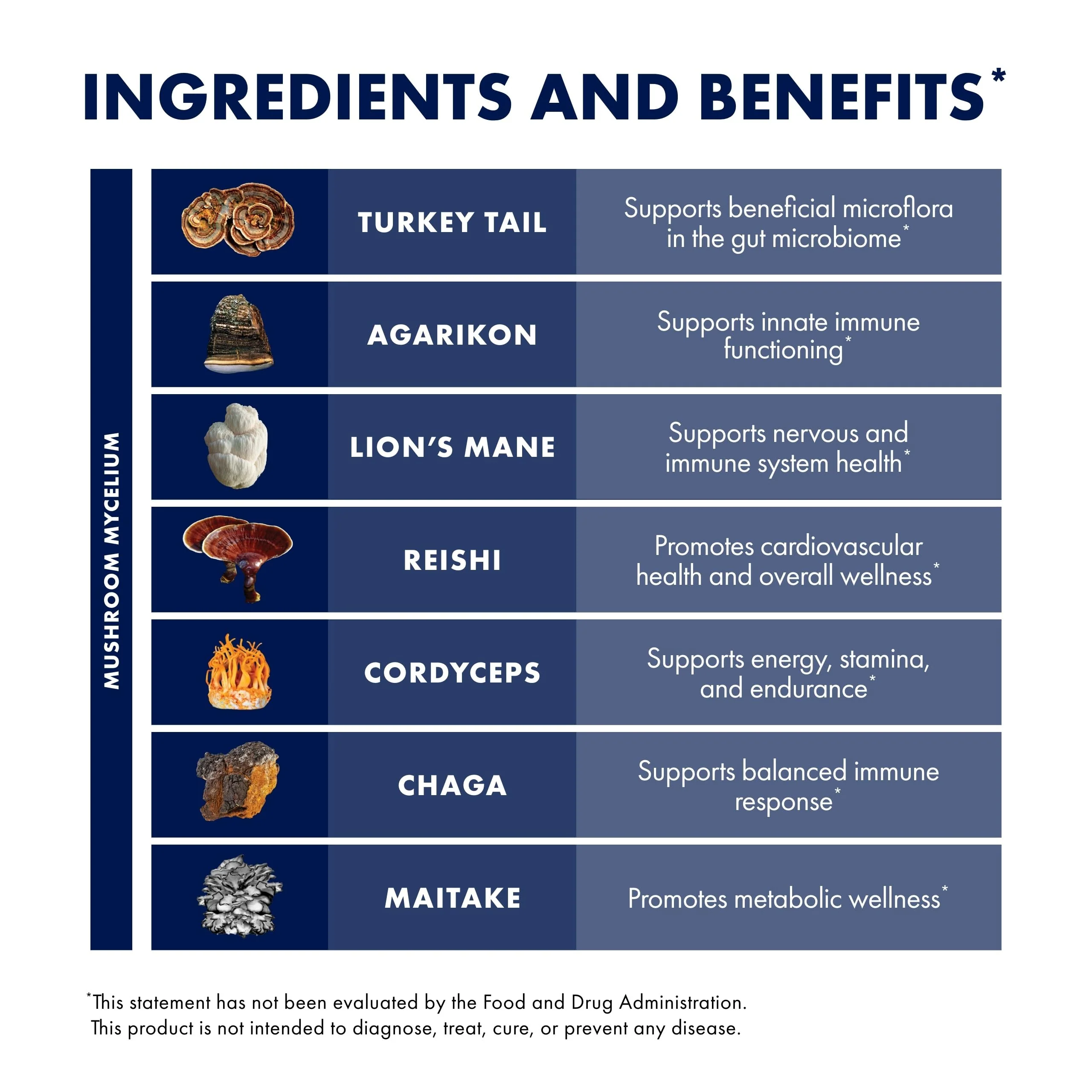 Host Defense MyCommunity Capsules – 17-Species Mushroom Blend for Immune Support (120 Vegan Capsules) - Image 15