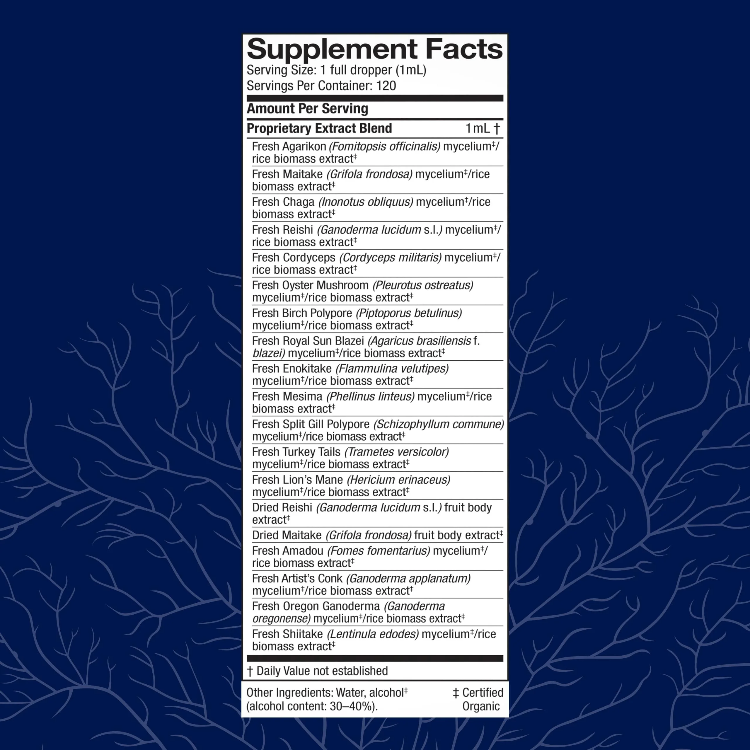 Host Defense MyCommunity Extract – 17-Species Mushroom Blend for Immune Support (4 fl oz) - Image 3