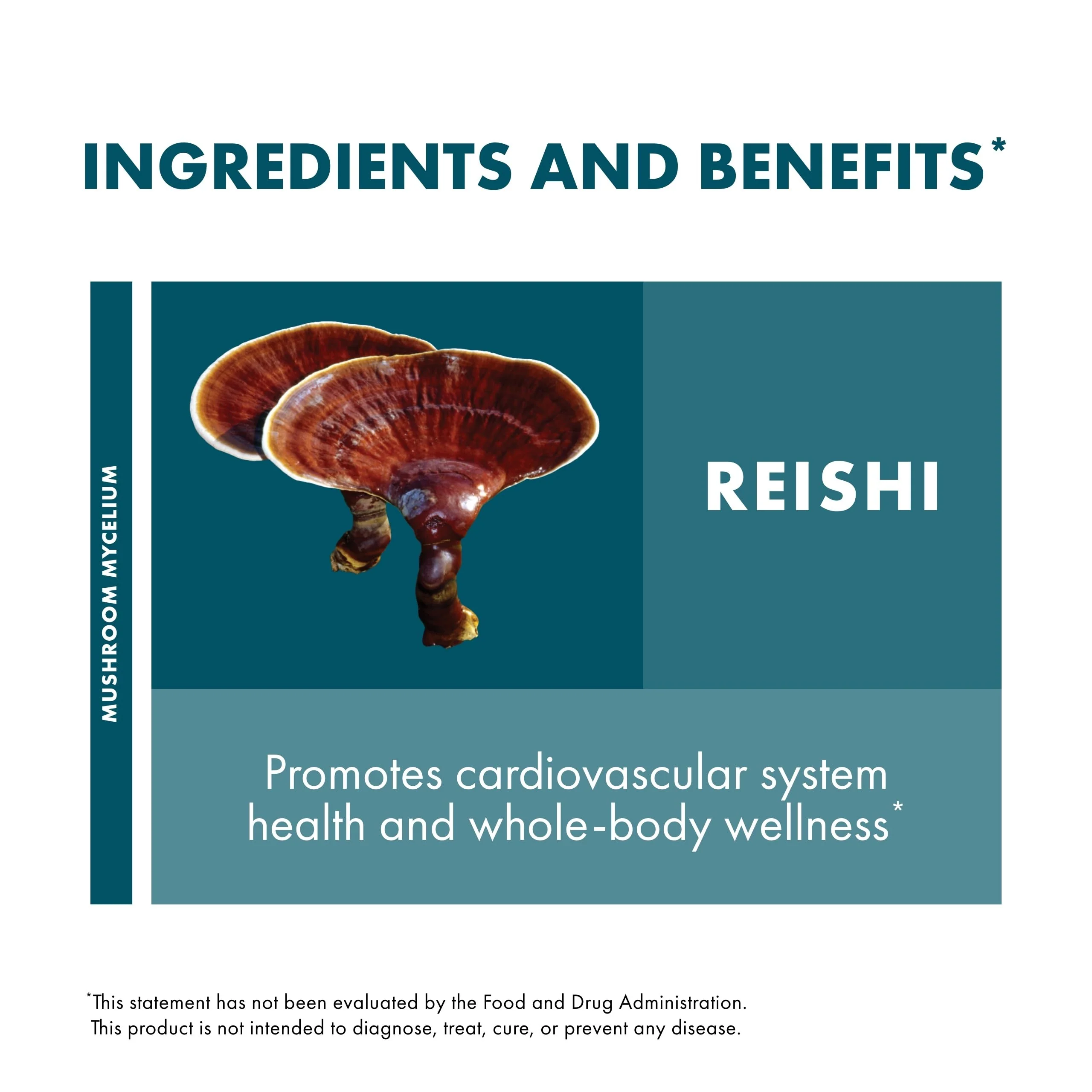 Host Defense Reishi Capsules | Immune & Heart Health Support, Energy & Vitality – 120 Capsules - Image 13