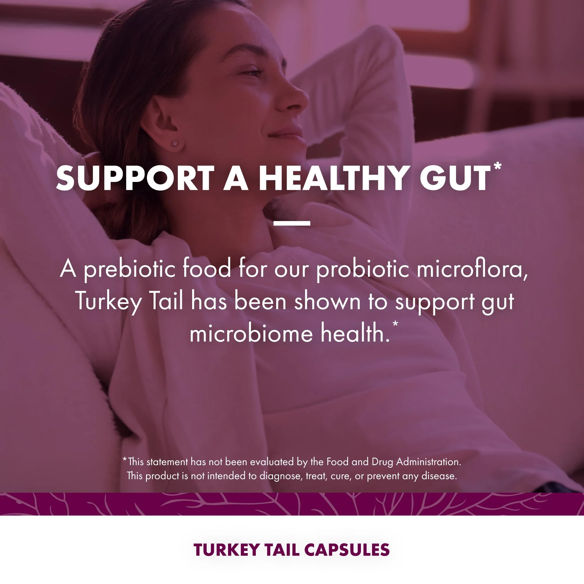 Host Defense Turkey Tail Capsules - 240 ct (Two 120 ct) - Immune & Digestive Health - Image 4