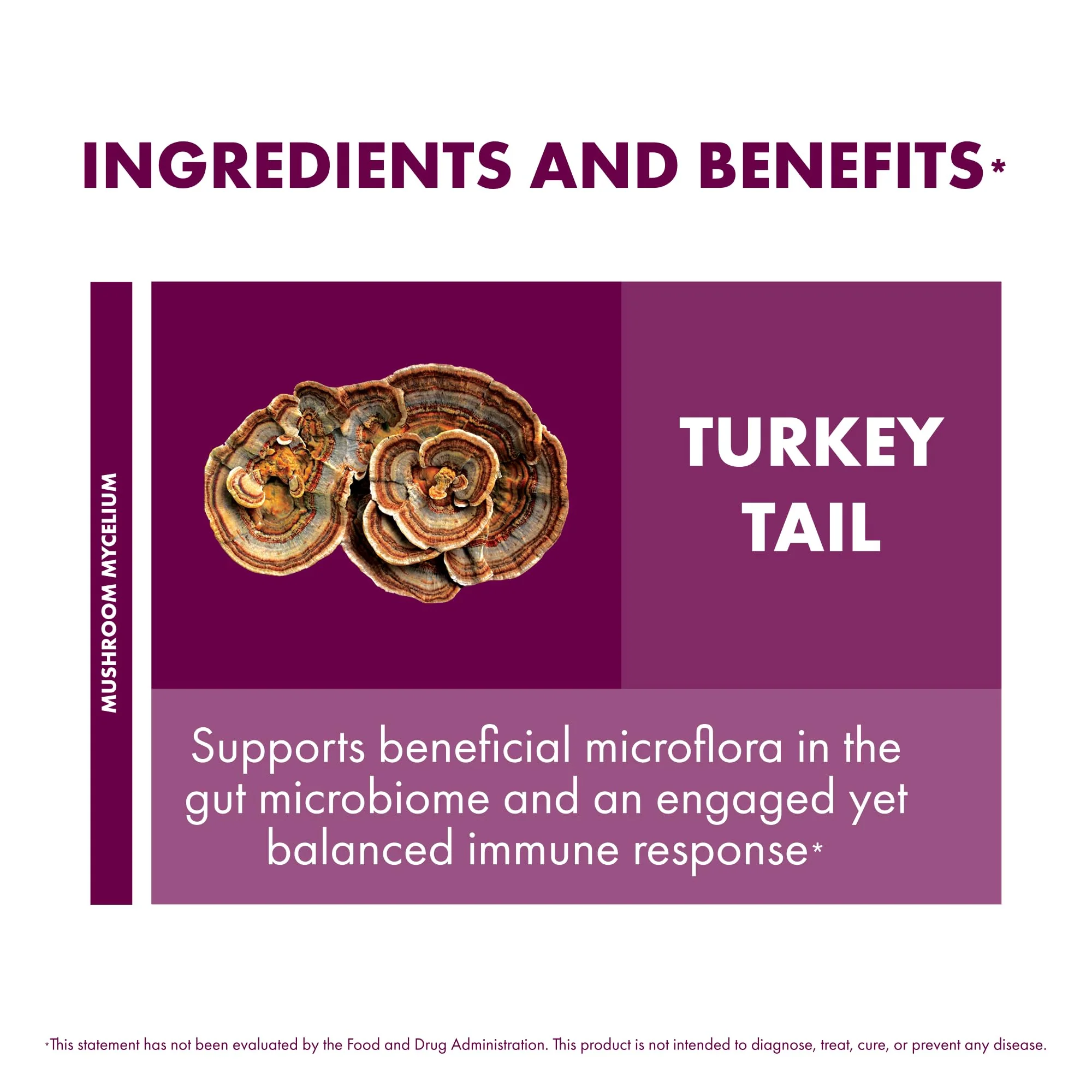 Host Defense Turkey Tail Capsules - 240 ct (Two 120 ct) - Immune & Digestive Health - Image 5