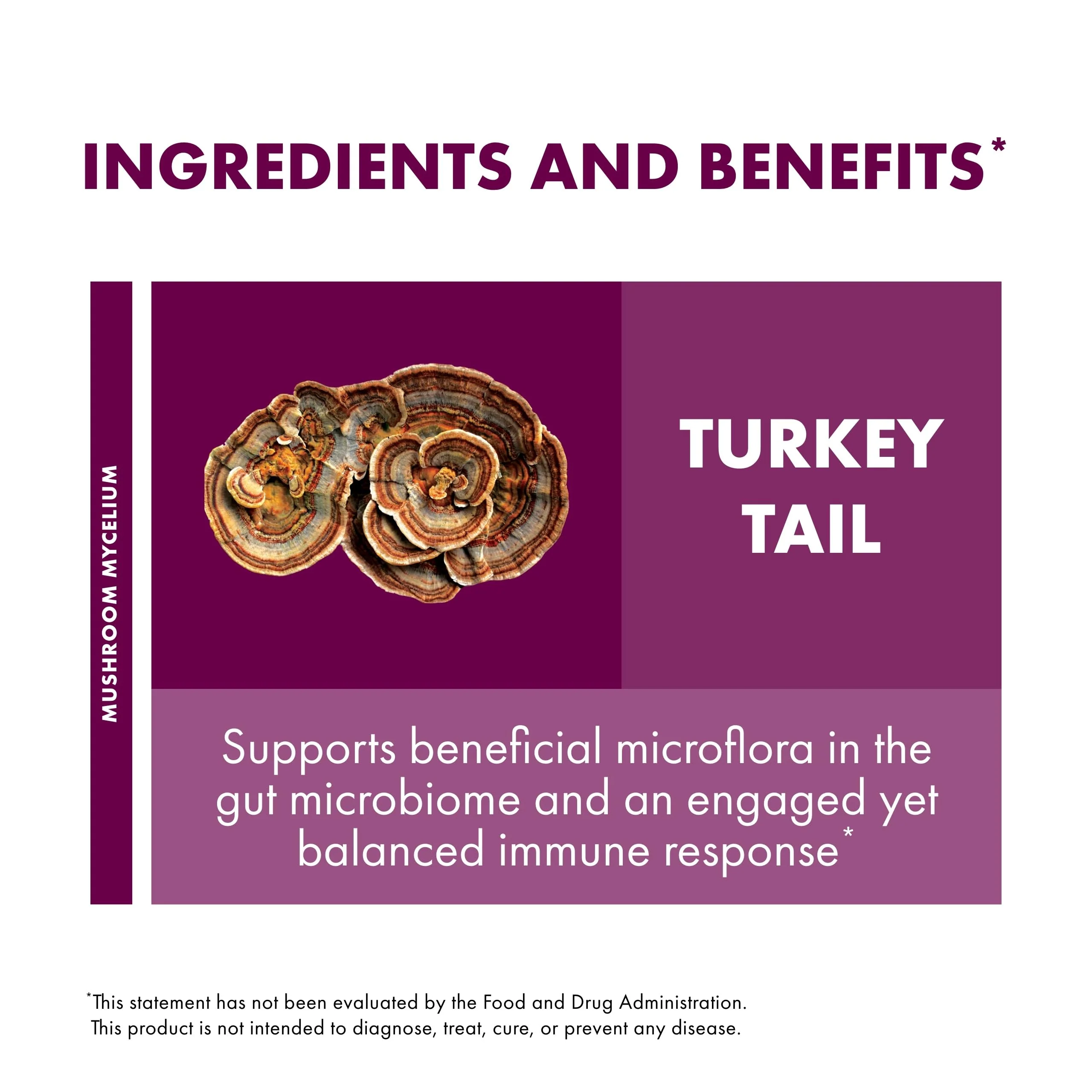 Host Defense Turkey Tail Capsules – Digestive Health & Immune Support - Image 15