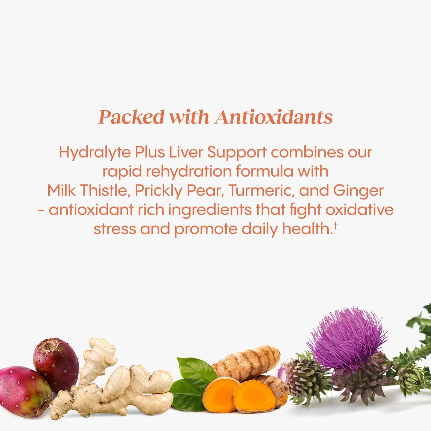 Hydralyte Liver Support + Electrolyte Mix – Milk Thistle, Turmeric & Ginger (Blood Orange Ginger, 40 Serves) - Image 8