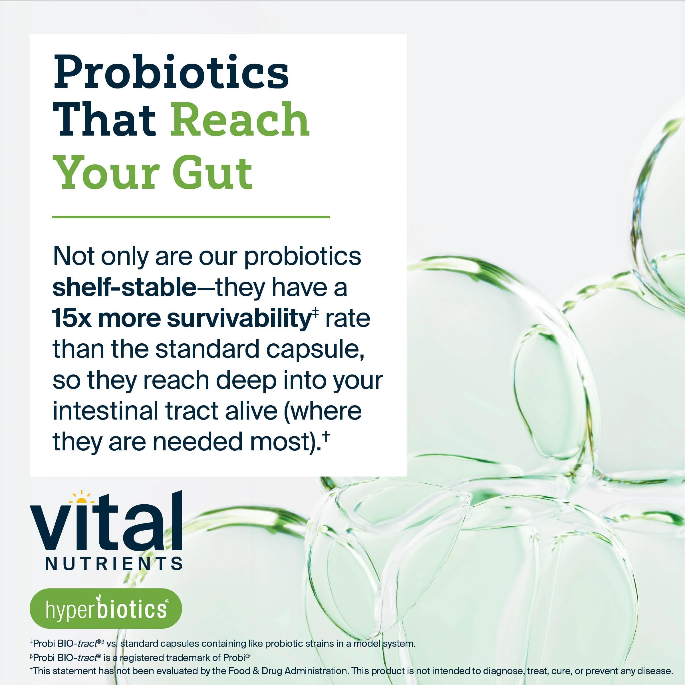 Hyperbiotics Vital Nutrients Pro-15 Probiotics – 15 Strains + Kiwifruit | 30 Vegan Tablets - Image 5