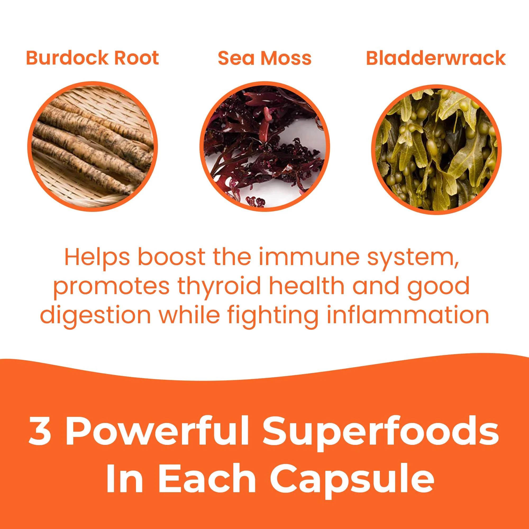 INFINITE AGE Sea Moss Capsules 3 Pack – 1250mg per serving, 180 Count, Vegan, USA Made - Image 7