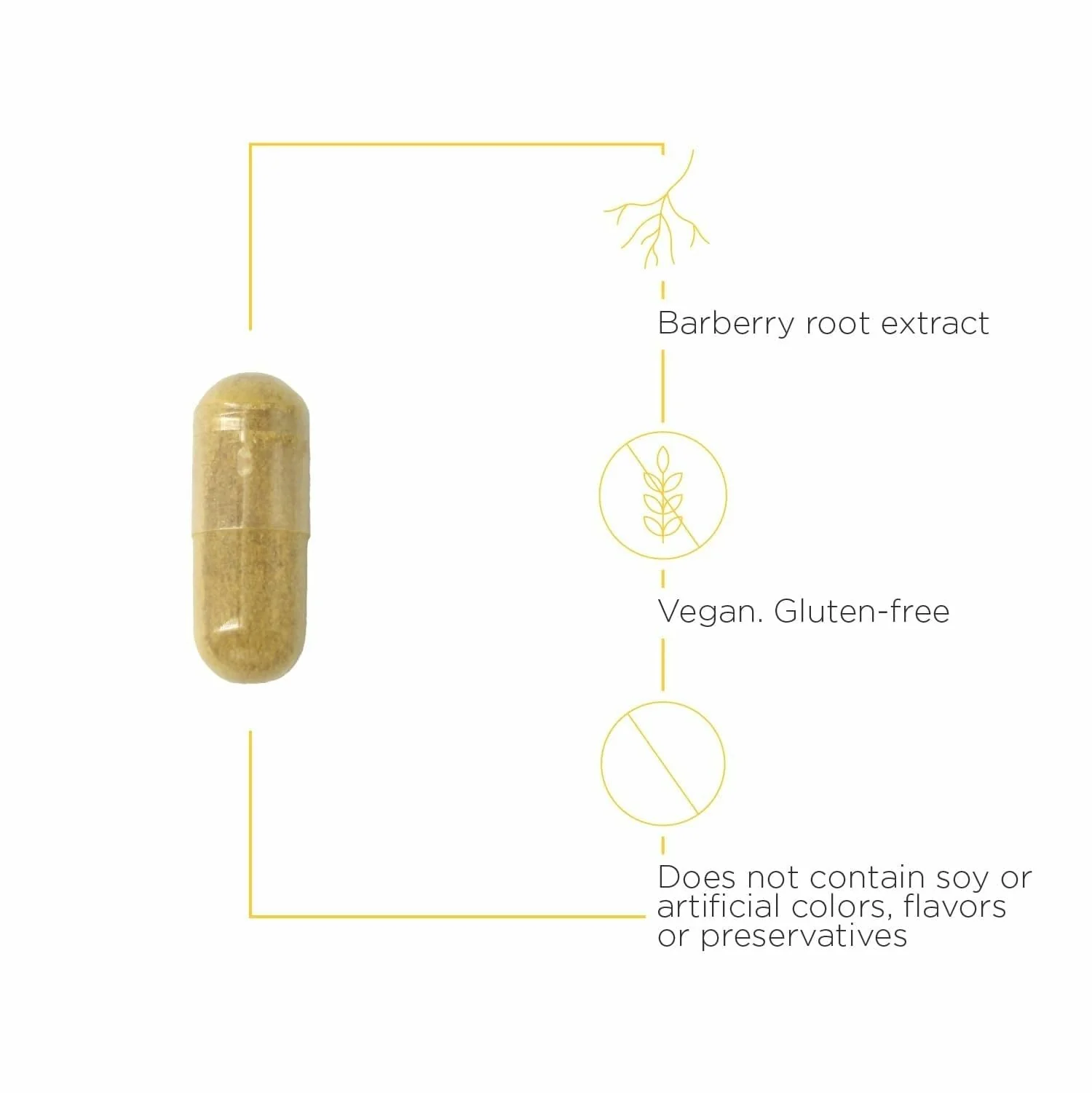 Integrative Therapeutics Berberine Complex - Digestive & Gut Health Supplement | 90 Capsules (45 Servings) - Image 4