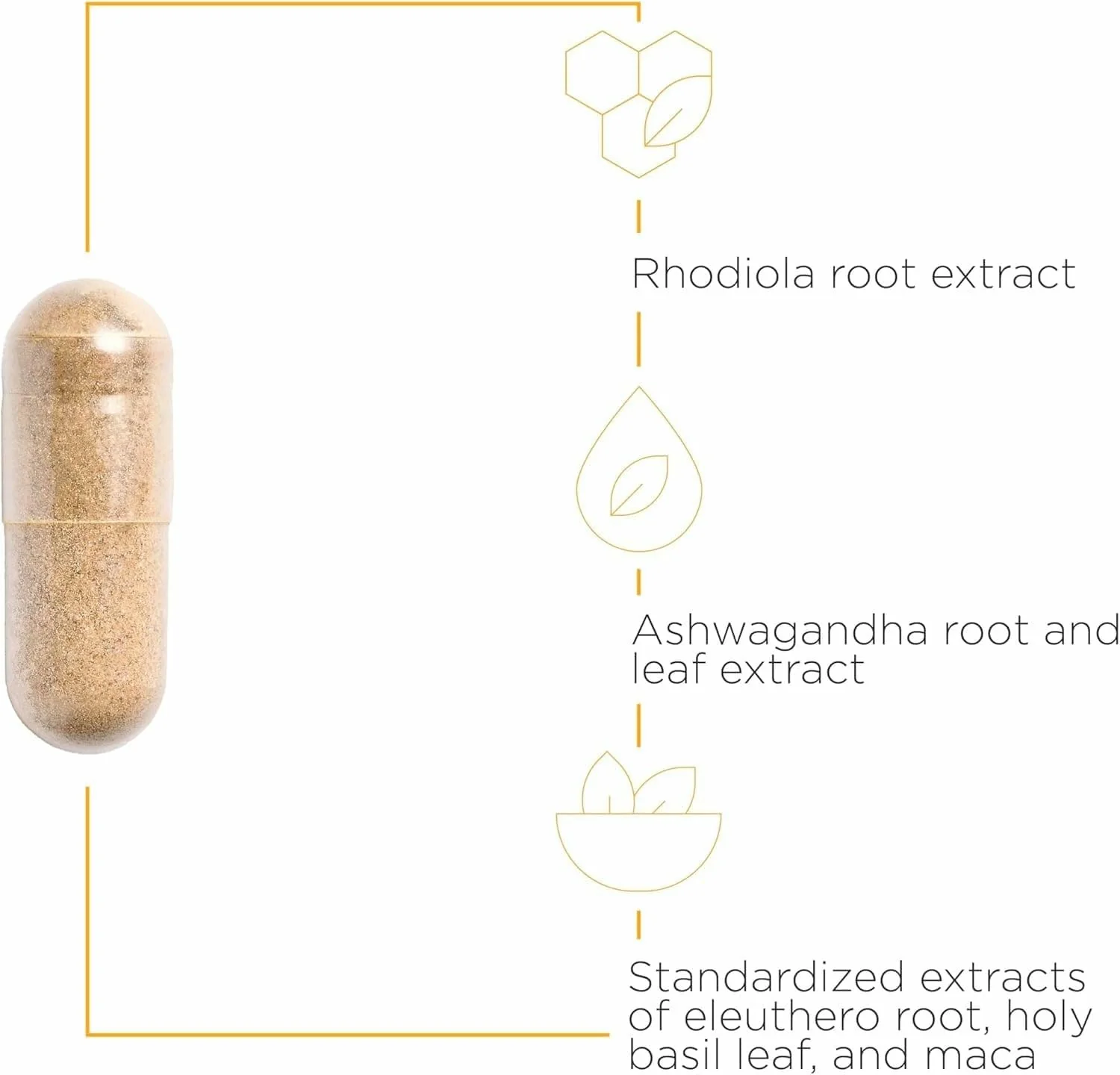 Integrative Therapeutics HPA Adapt – Adaptogenic Stress Support Supplement | Ashwagandha, Rhodiola, Maca | Vegan, Gluten-Free | 240 Capsules - Image 11