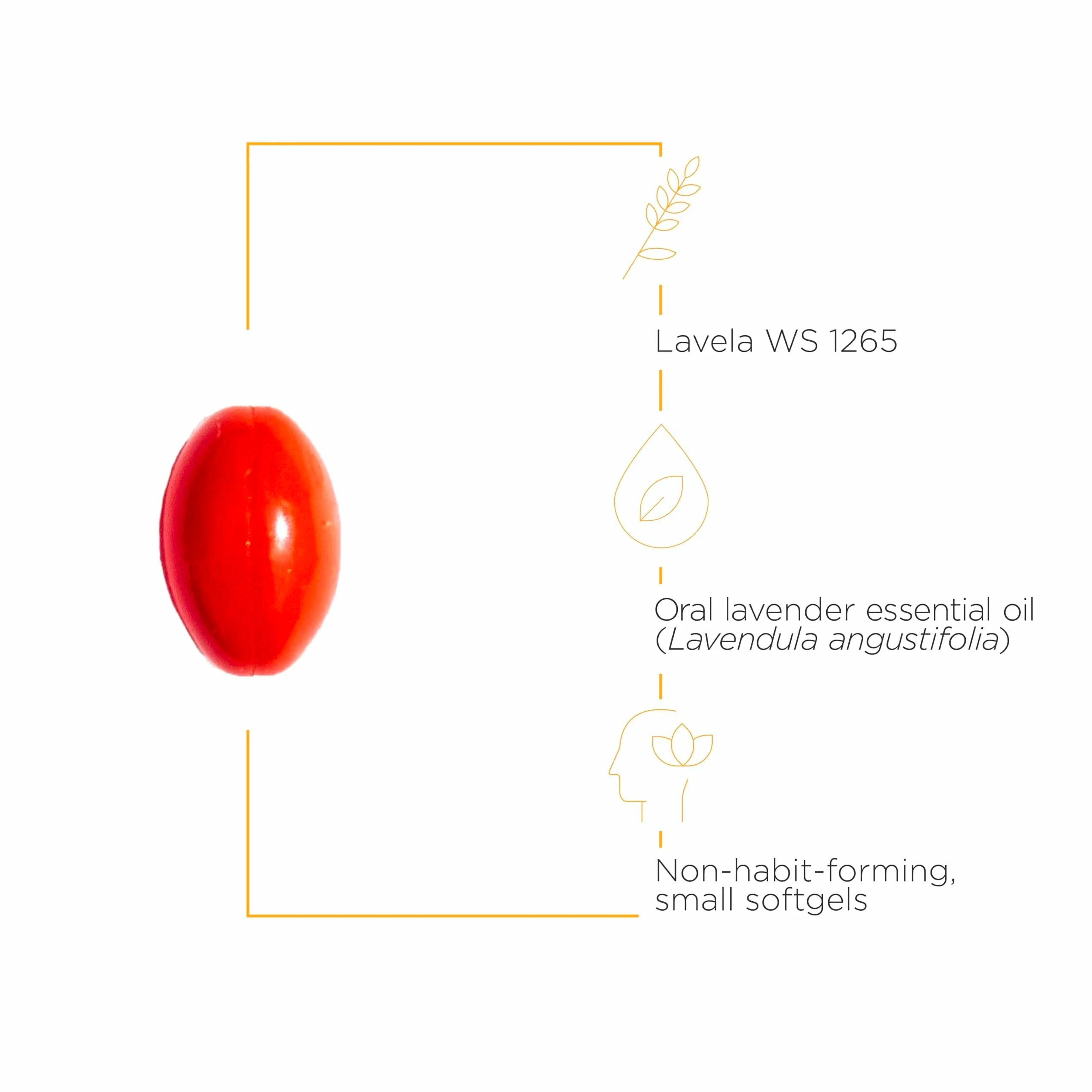 Integrative Therapeutics Lavela WS 1265 – Lavender Oil Softgels for Sleep & Stress Support (Dairy-Free) - Image 4