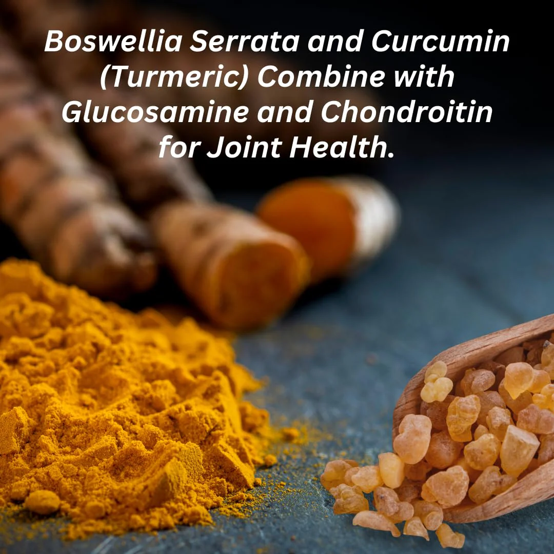 INVIGOFLEX AMPM – Glucosamine & Chondroitin, Turmeric Curcumin, Boswellia | 24-Hour Joint Support - Image 7
