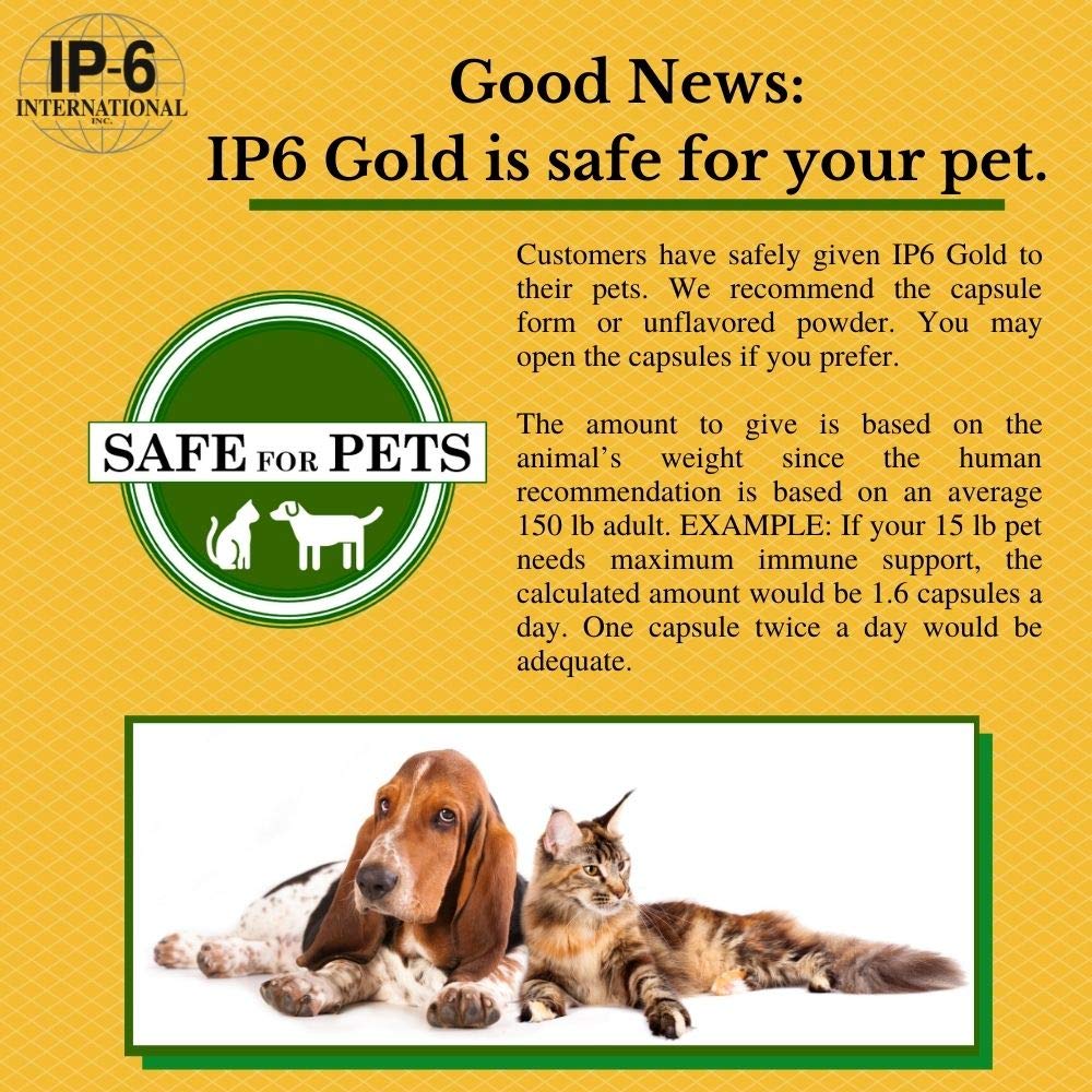 IP6 Gold IP-6 & Myo-Inositol Unflavored Powder, 308 g – Vegan & Non-GMO, Gluten Free - Image 5
