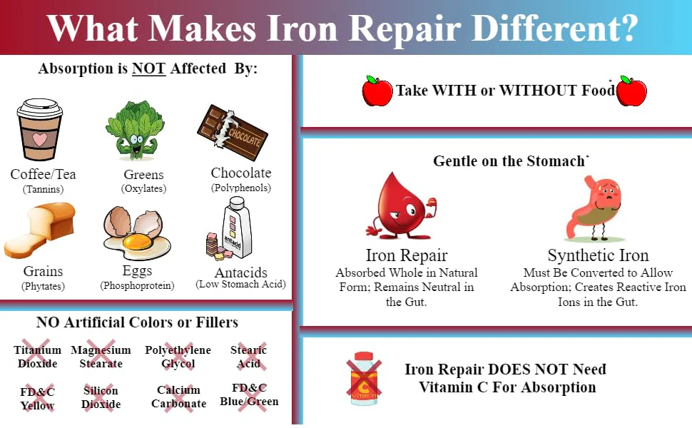 Iron Repair: Natural Iron Supplement with Best Absorption | Gentle on Stomach | Monash Low FODMAP | 90 Capsules - Image 6