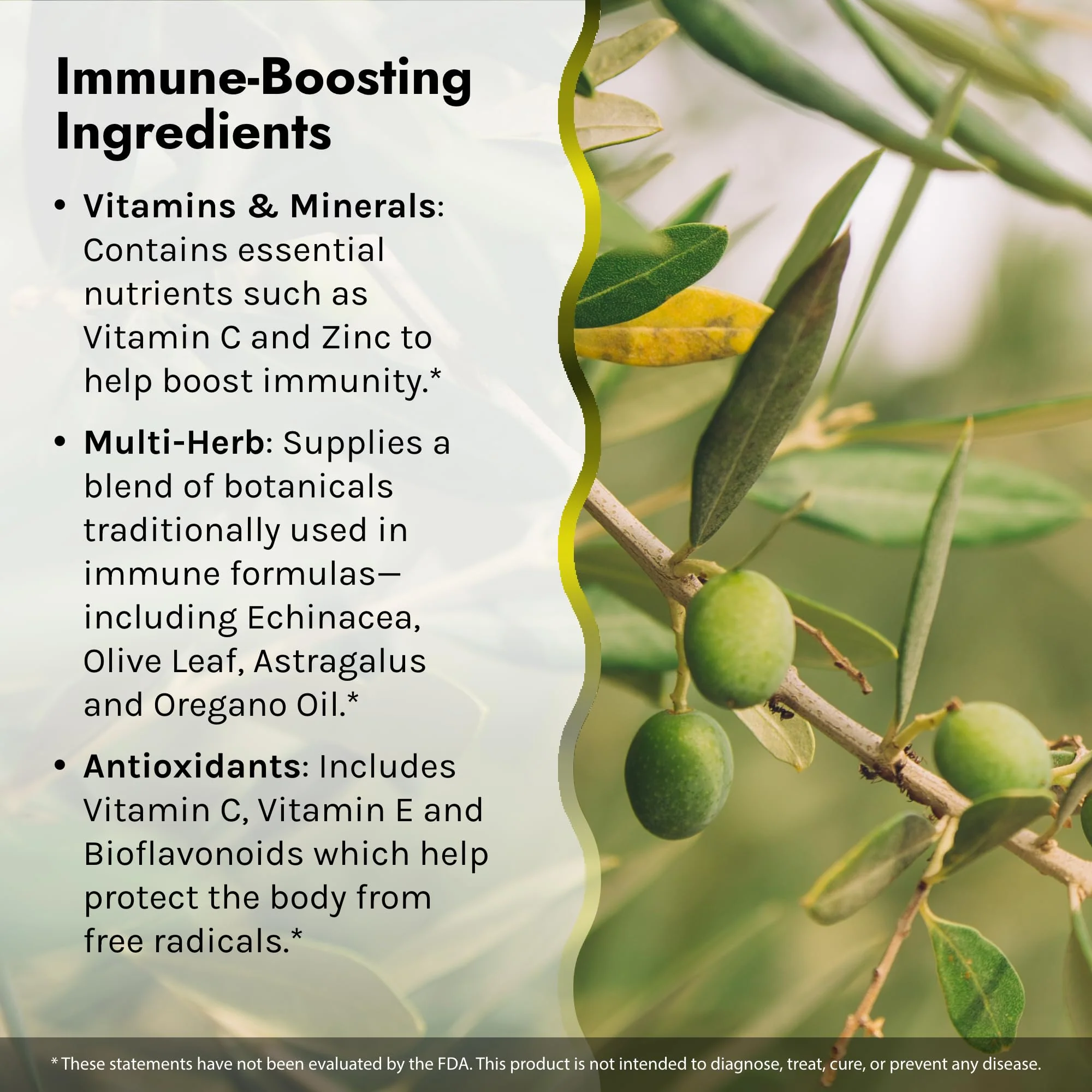 Irwin Naturals Immuno-Shield – 100 Liquid Softgels (Pack of 2) | All-Season Immune Support - Image 4
