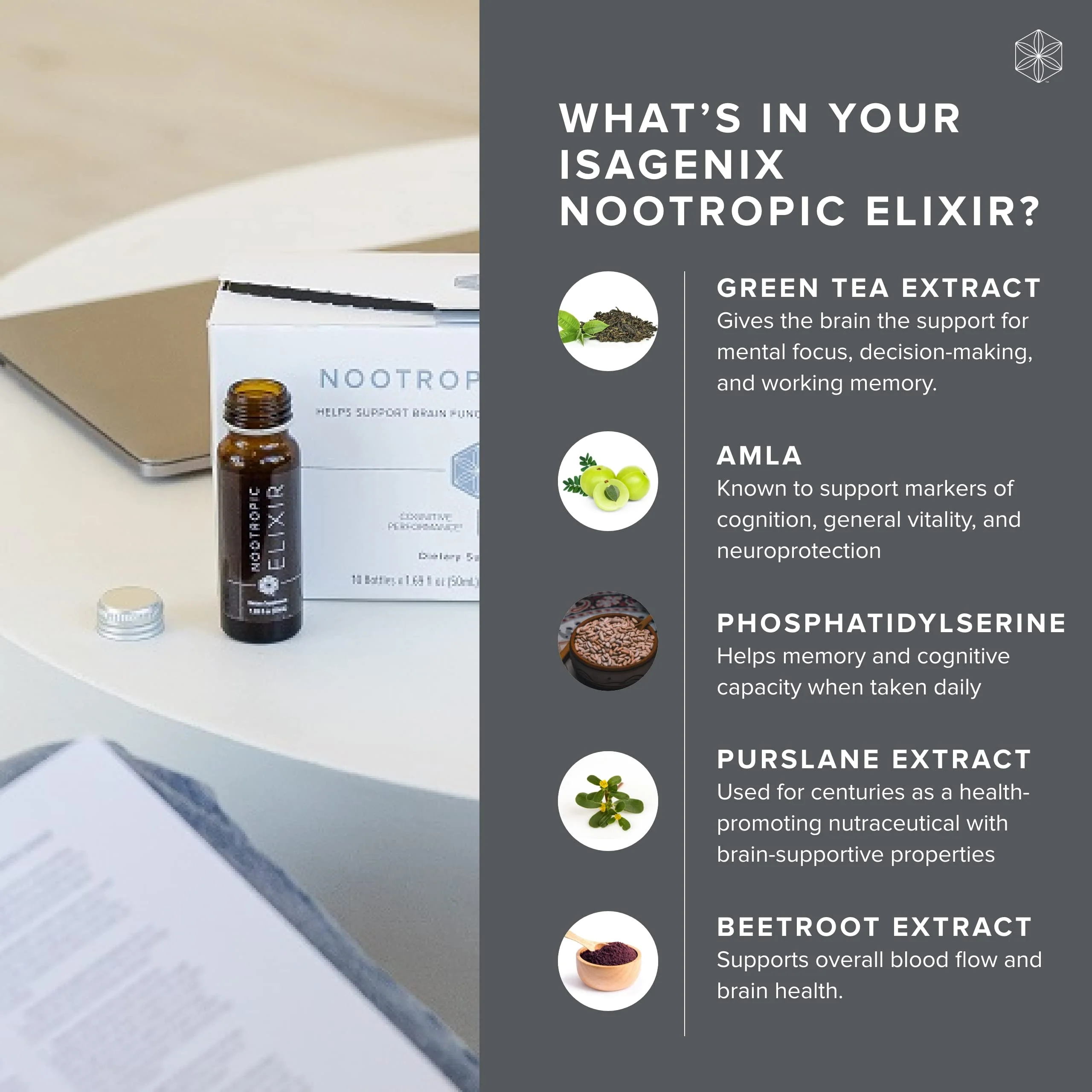 Isagenix Nootropic Elixir – Brain Health & Focus Supplement | Green Tea Extract | 1.69 oz Bottles (10 Count) - Image 3