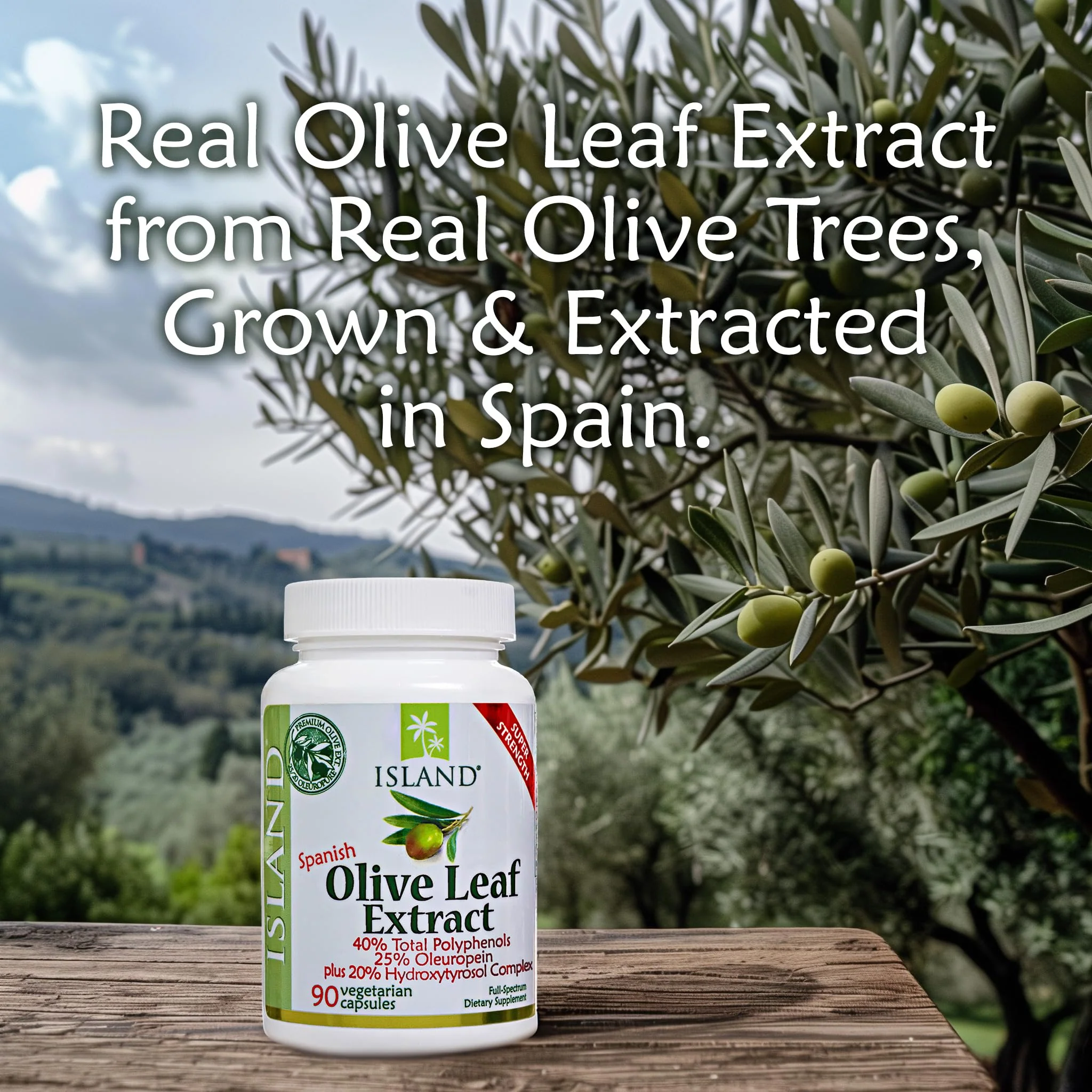 Island Nutrition Olive Leaf Extract Capsules – 25% Oleuropein, 40% Polyphenols, 20% Hydroxytyrosol Complex – 90 Capsules, Spain-Grown - Image 2