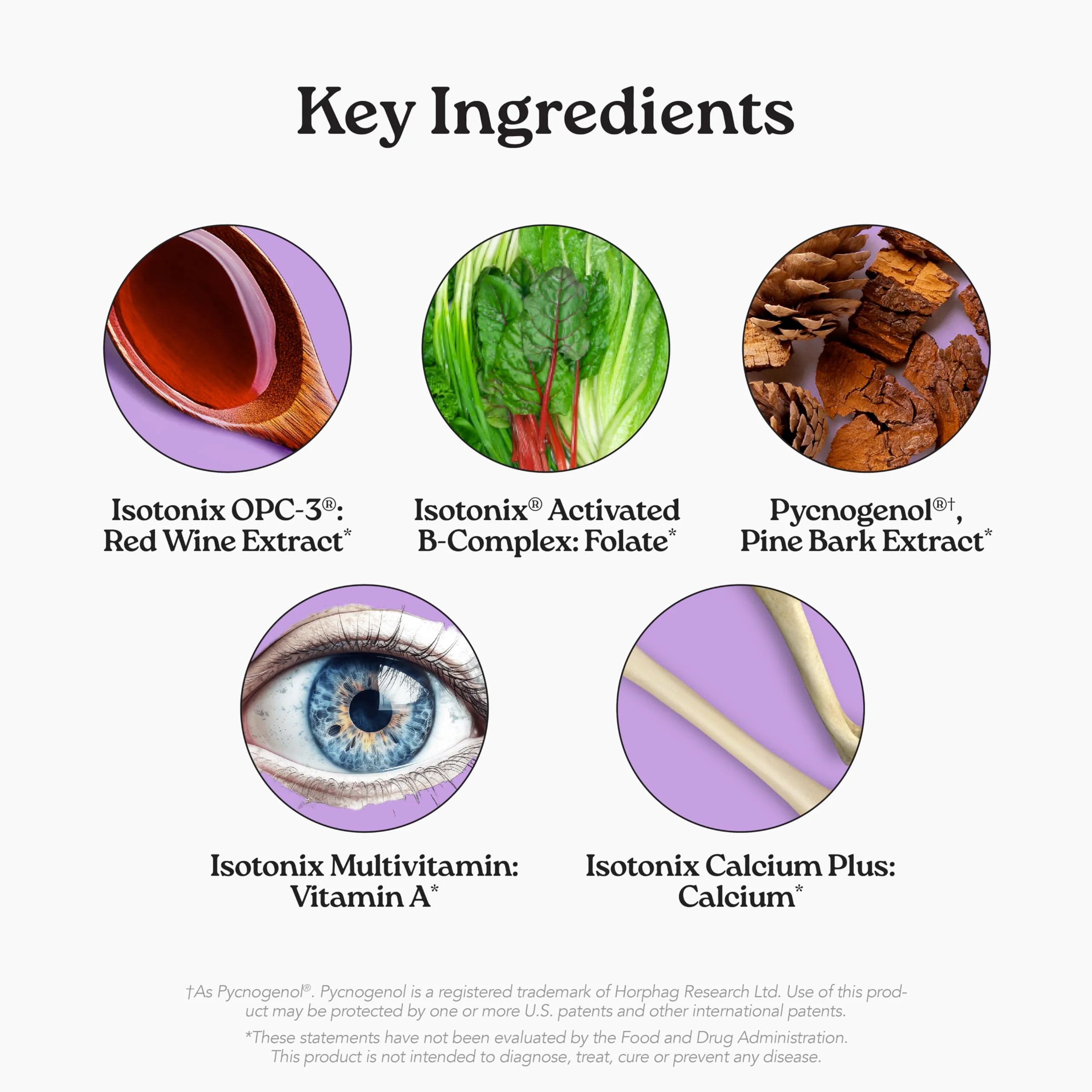 Isotonix Daily Essentials 4-in-1 Multivitamin Packets | Isotonic Delivery, Gluten Free, 30 Pack - Image 11