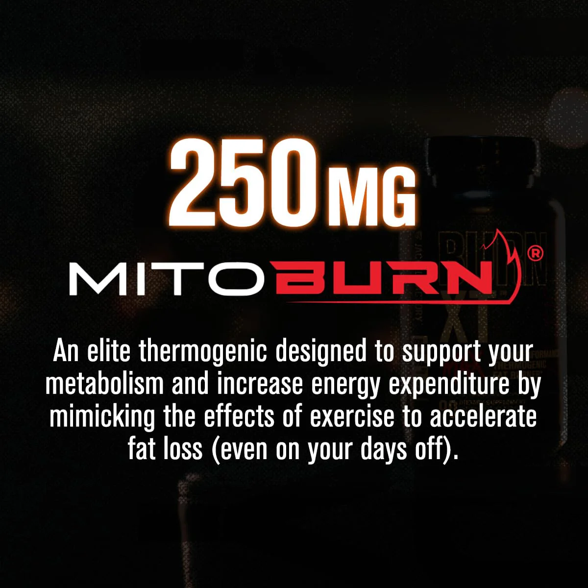 Jacked Factory Burn-XT Max: High-Performance Thermogenic Fat Burner with PurCaf Caffeine, MitoBurn & Green Tea | 90 Capsules - Image 3