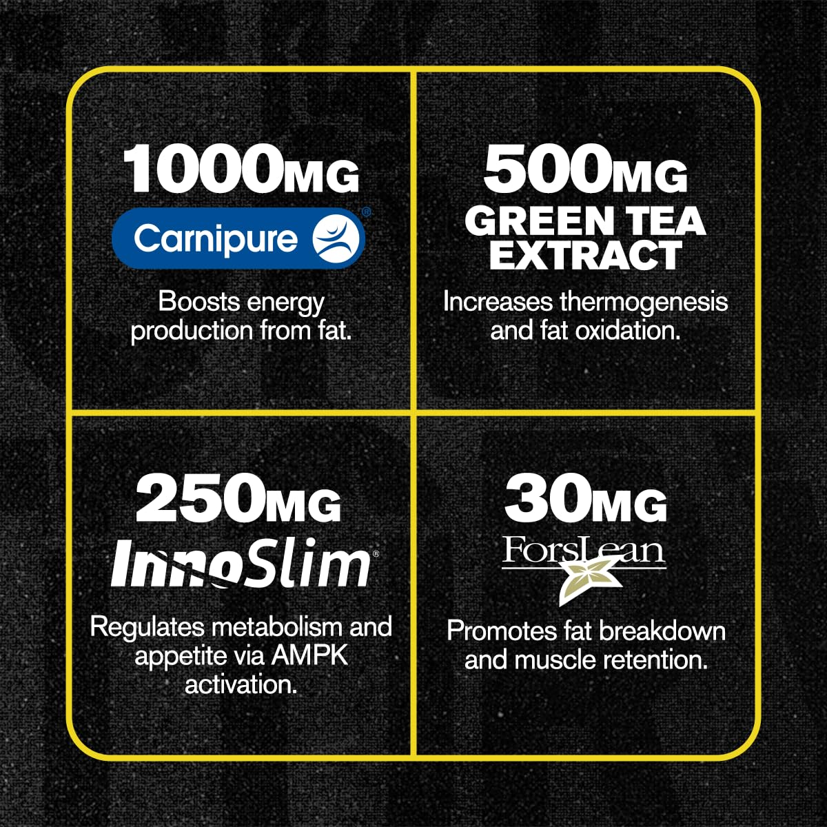 Jacked Factory Lean-XT Max – Stim-Free Fat Burner with Carnipure, InnoSlim & ForsLean | 90 Count - Image 3