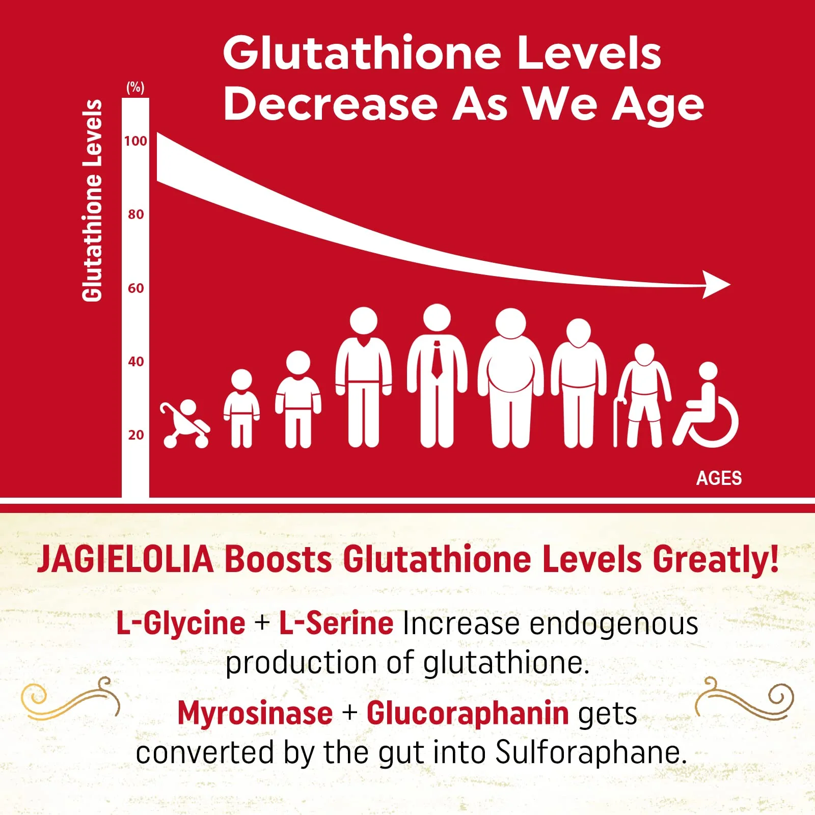 Jagielolia Liposomal Glutathione 2000 mg – L-Serine, L-Glycine & Sulforaphane | 360 Softgels - Image 10