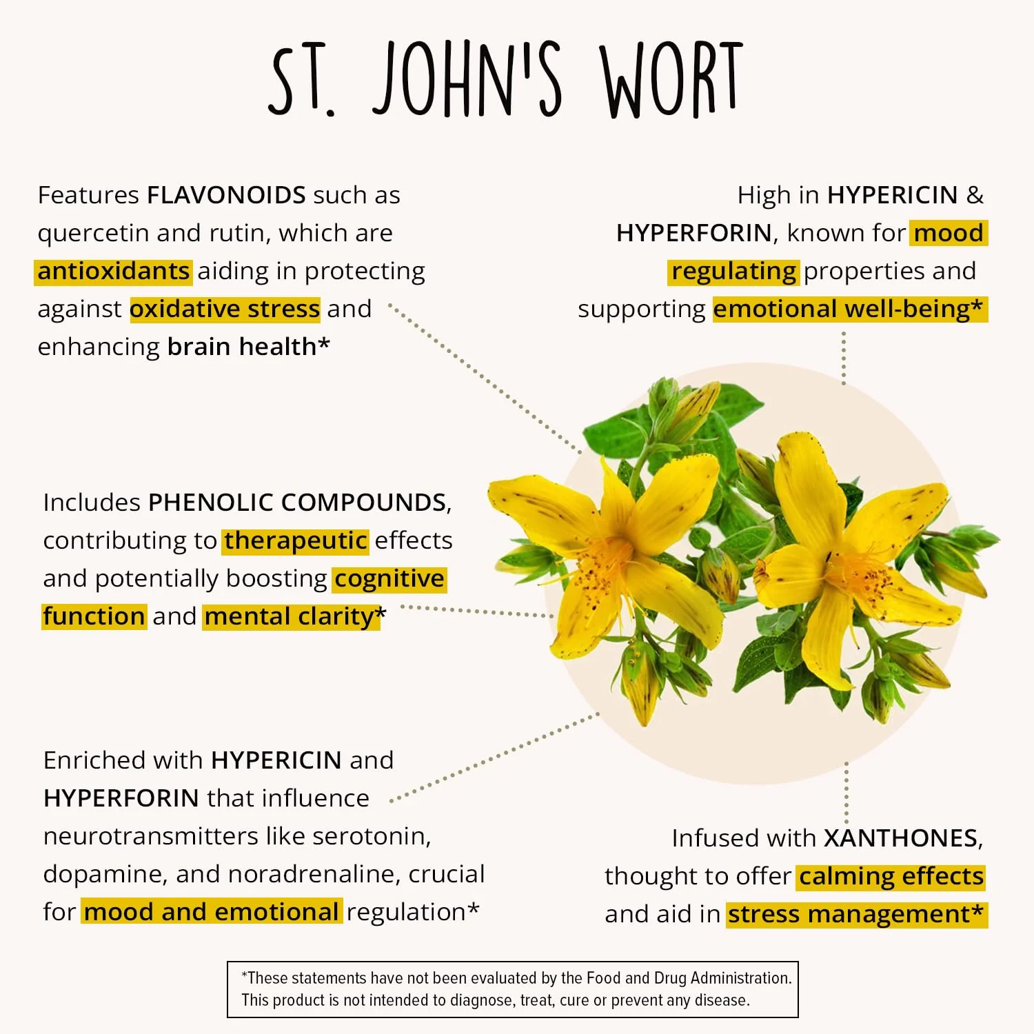Joy-Filled Mood Support Supplement — 7-Herb Complex w/St. John's Wort (120 Ct) | Plant-Based Mood & Stress Support | Happy Healthy Hippie - Image 16