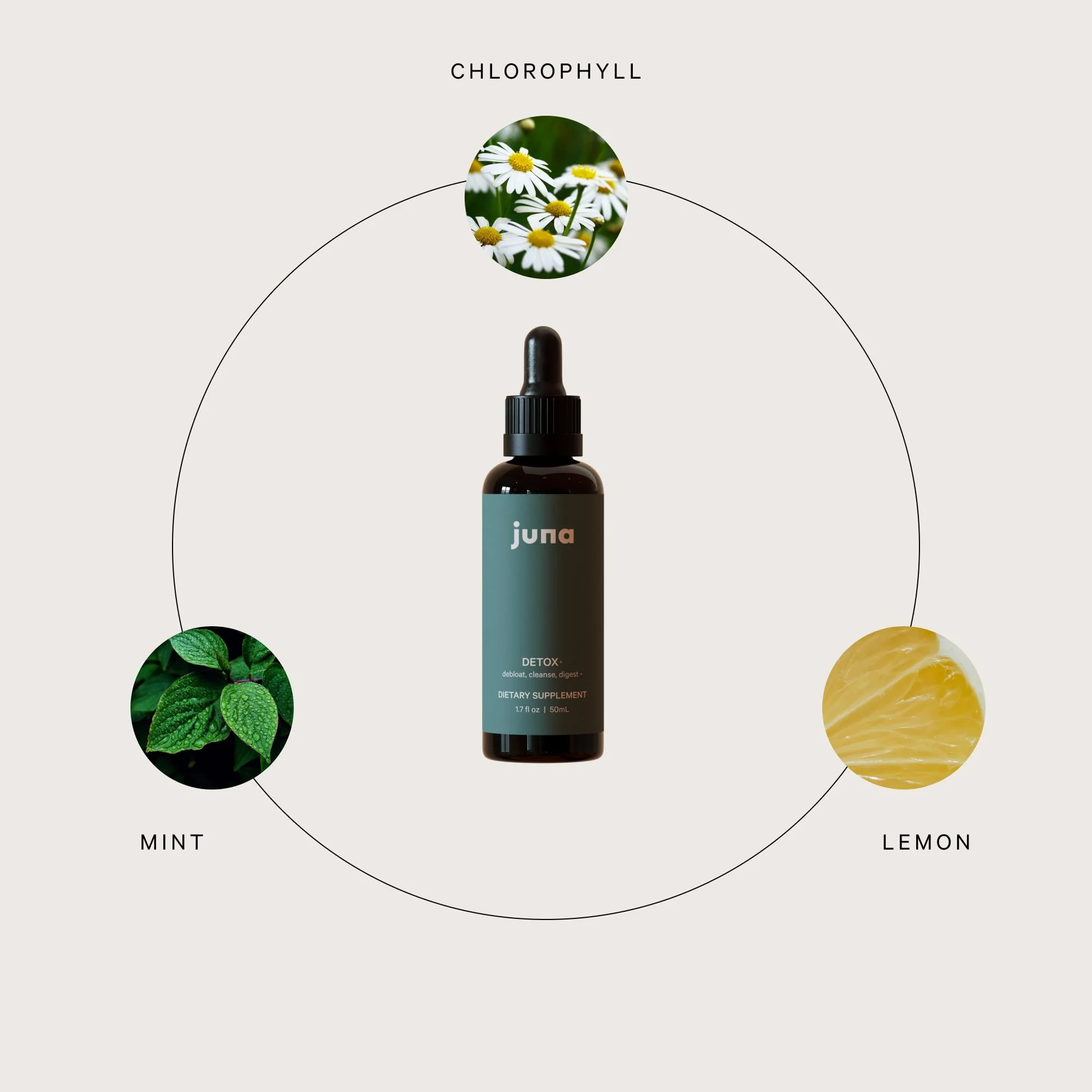 Juna Chlorophyll Liquid Drops – 3X Potency Detox, Energy & Internal Deodorant (Mint-Lemon Flavor) - Image 8