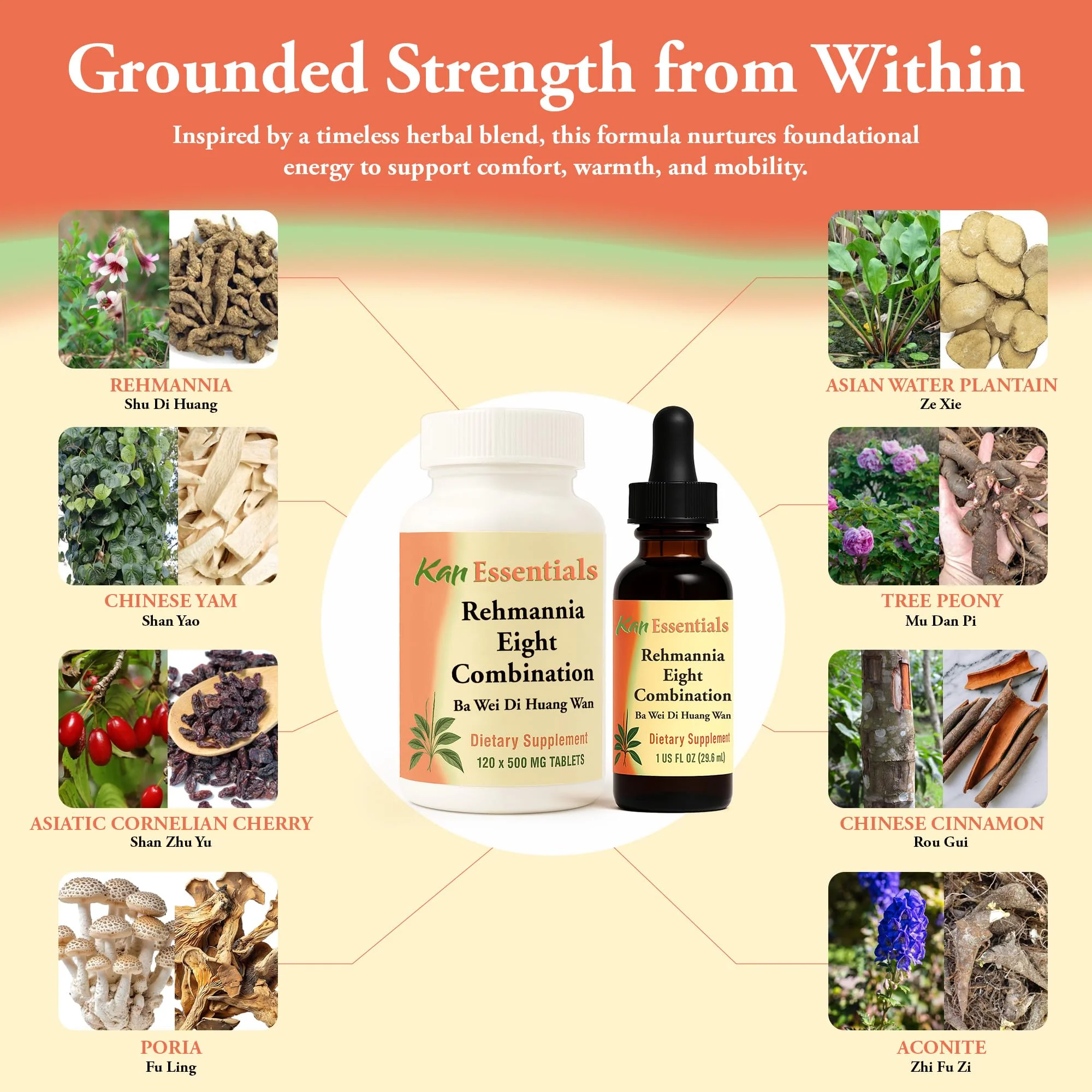 Kan Herbs Rehmannia Eight – Chinese Herbal Blend for Dogs & Cats | Kidney Health & Vitality - Image 4