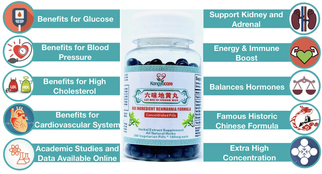 Kangyacare Liu Wei Di Huang Wan 六味地黄丸 – Six Ingredient Rehmannia Formula | Energy & Immune Support | All Natural | 400 Ct (2 Bottles) - Image 2