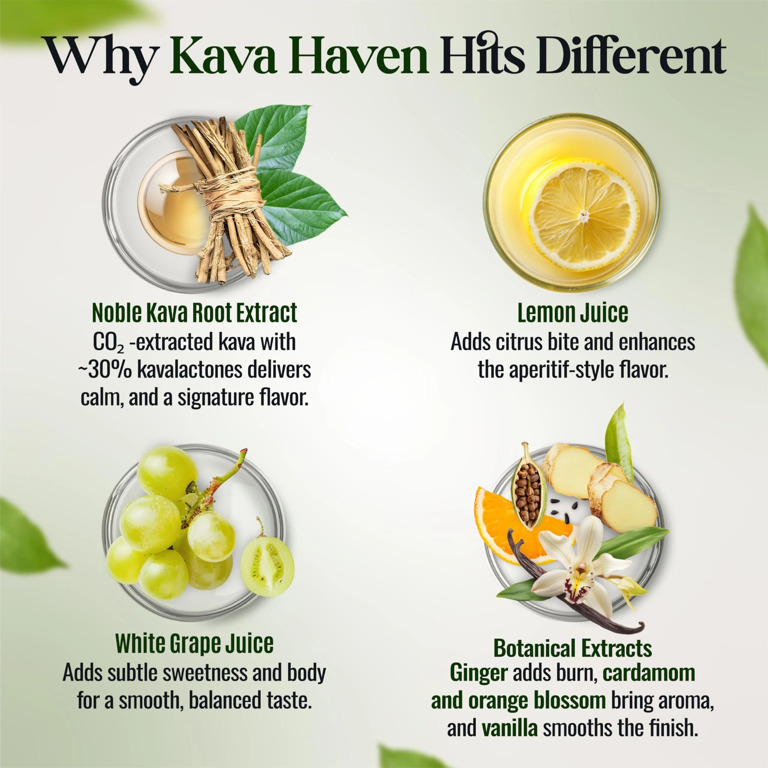 Kava Haven Non Alcoholic Spirit – Lemon Ginger, 750mL | Low Calorie, All Natural, Zero Proof - Image 12
