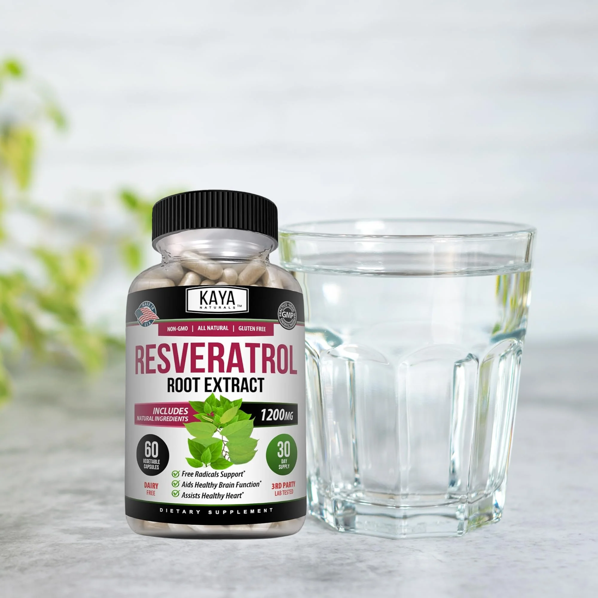 Kaya Naturals Resveratrol Capsules - Anti-Aging Antioxidants with Brain Support | 60 Veggie Capsules per Bottle (Pack of 6) - Image 6