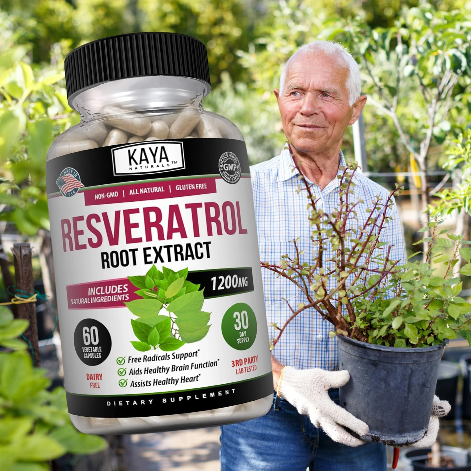 Kaya Naturals Resveratrol Capsules - Anti-Aging Antioxidants with Brain Support | 60 Veggie Capsules per Bottle (Pack of 6) - Image 8
