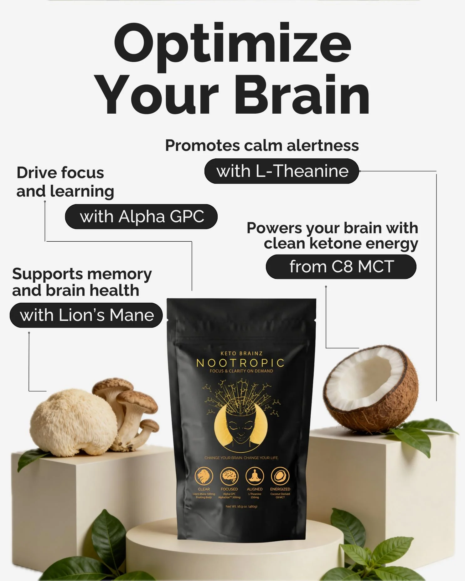Keto Brainz C8MCT Nootropic Creamer – 500mg Lion’s Mane, AlphaGPC & L-Theanine | 16oz, 30 Servings - Image 12