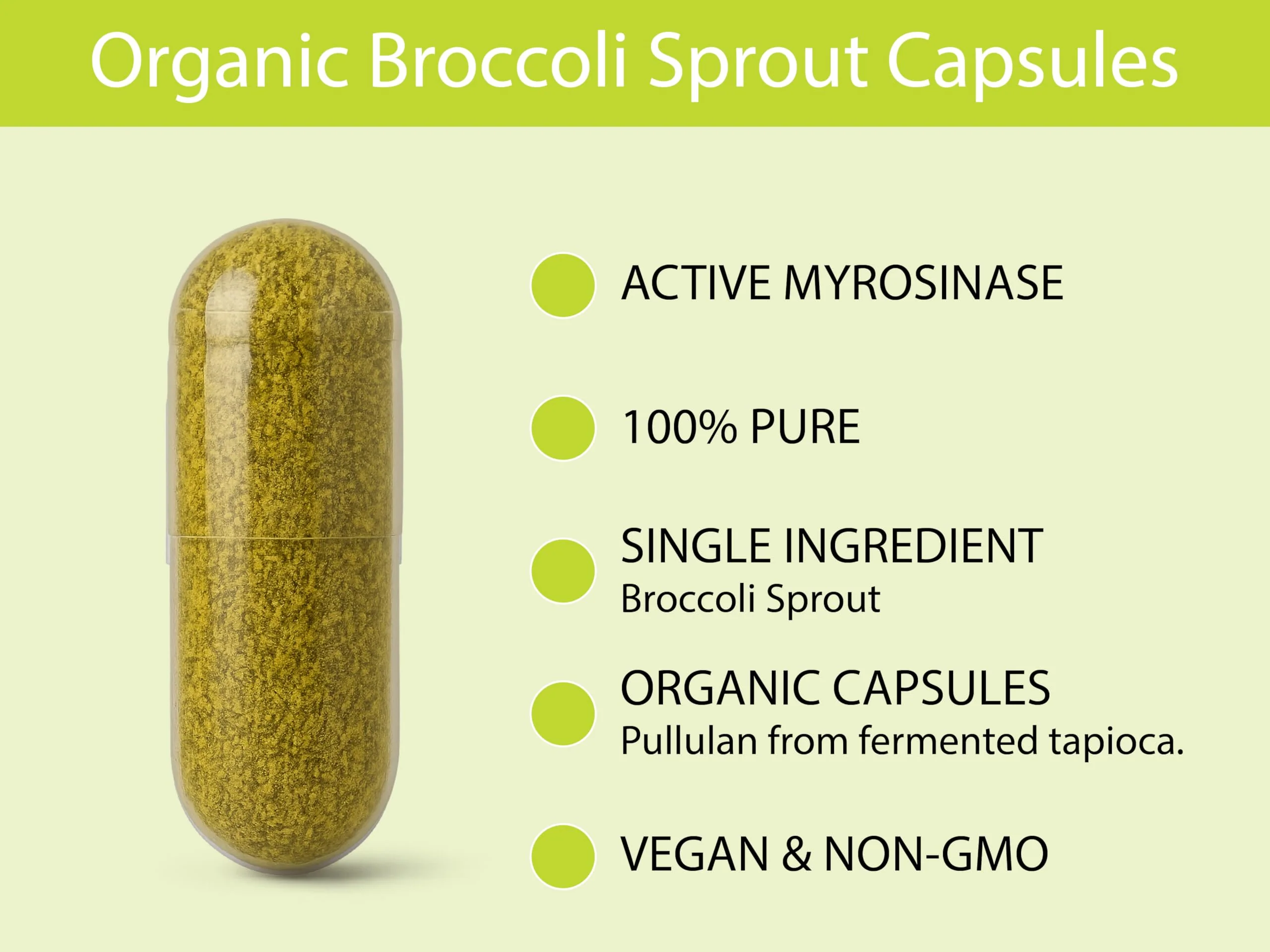 KOYAH Organic Broccoli Sprout Capsules – Freeze-Dried Whole Sprouts, Active Myrosinase & Glucoraphanin, USA Grown, 150 Capsules - Image 13