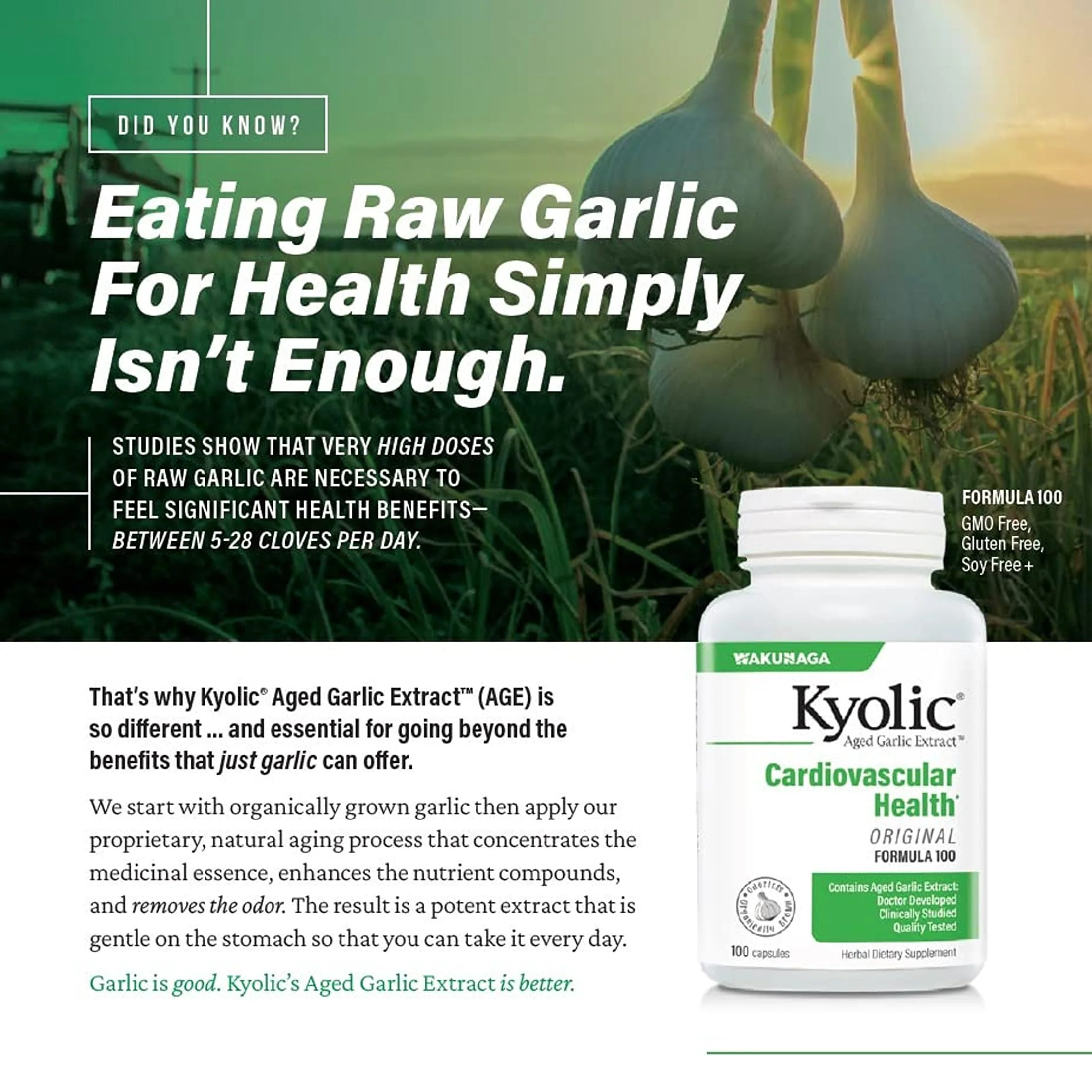 Kyolic Aged Garlic Extract Formula 300 – Cardiovascular Health, Vegan, 360 Capsules - Image 6