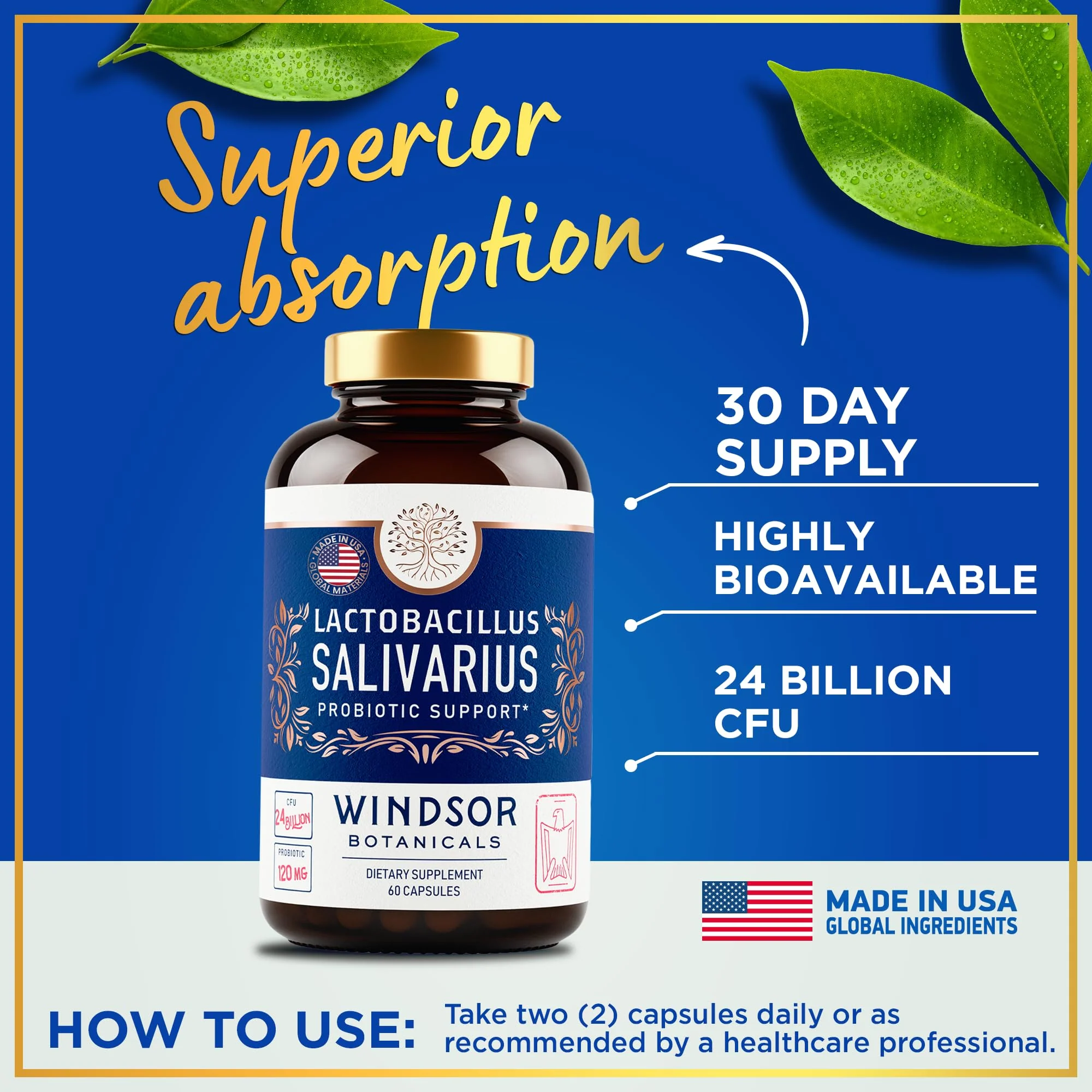 Lactobacillus Salivarius Probiotic 24bn CFU for Teeth & Gums - Bad Breath, Immune & Digestive Health - 60 Capsules - Image 4