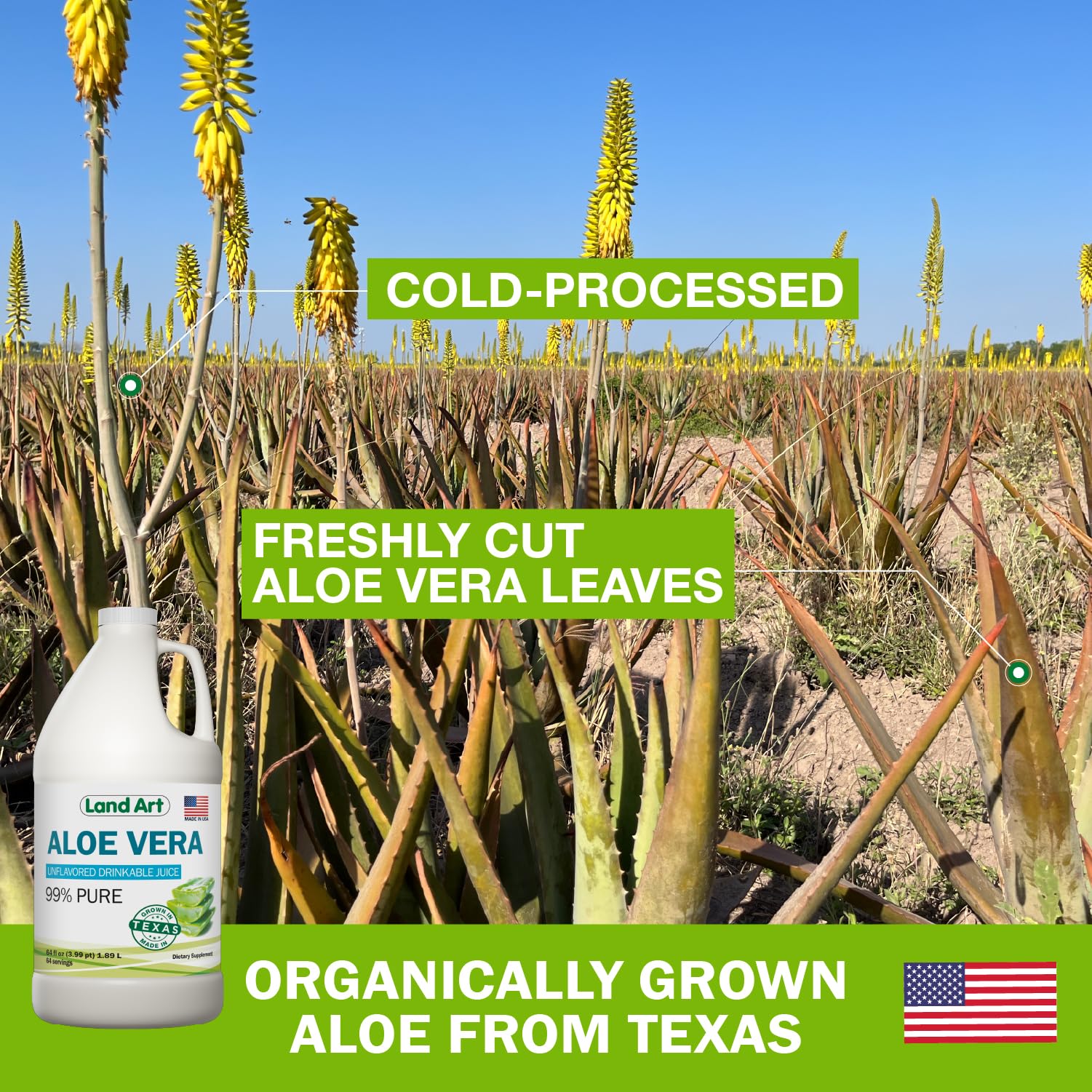 Land Art Pure Aloe Vera Juice Unflavored – 99.7% Organic, Cold-Processed, 64 oz Pack of 2 - Image 3