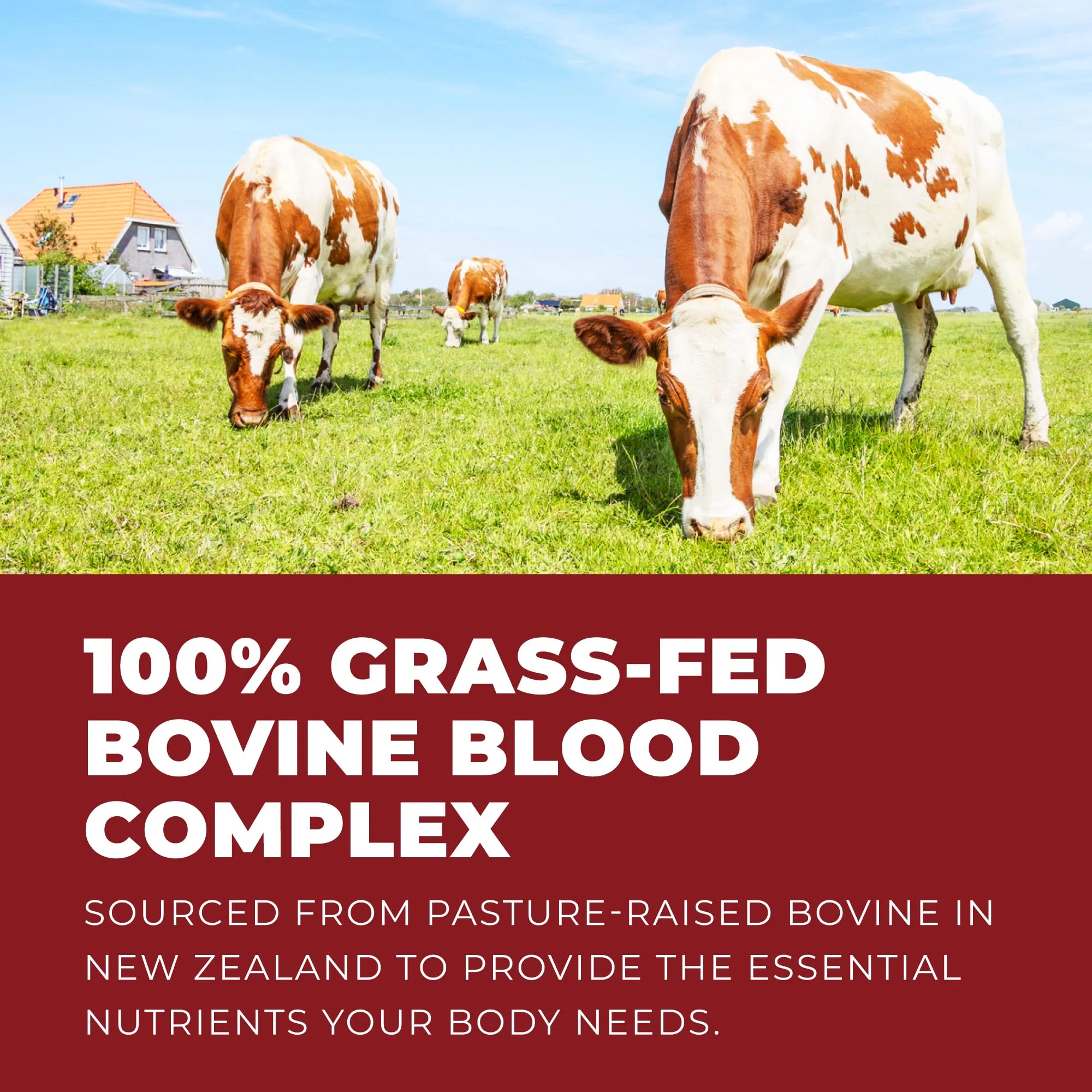 Left Coast Performance Grass-Fed Bovine Blood & Beef Liver Supplement – NZ Pasture Raised, Freeze-Dried, 180 Capsules - Image 7