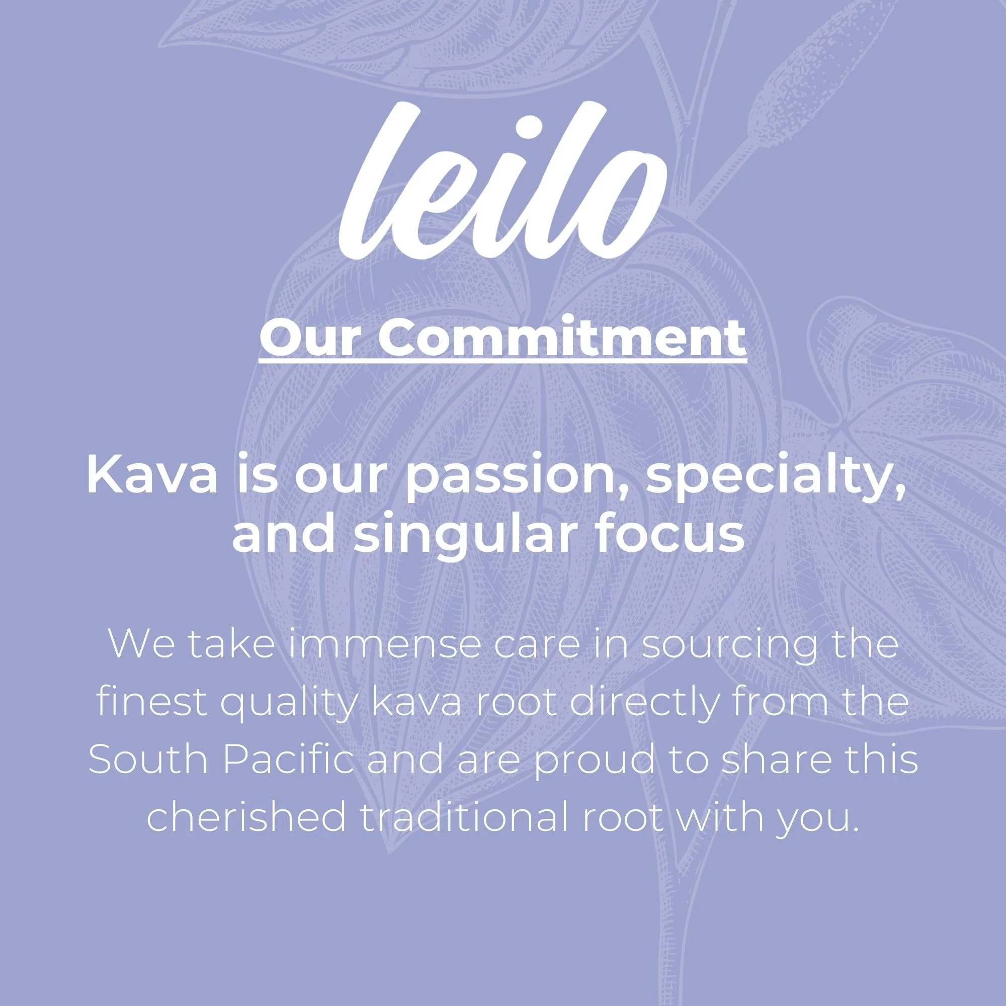 LEILO Kava Powered Sparkling Relaxation Drink – Blackberry Orange 12-Pack | Non-ALC Calming Beverage | 12 fl oz Cans - Image 12