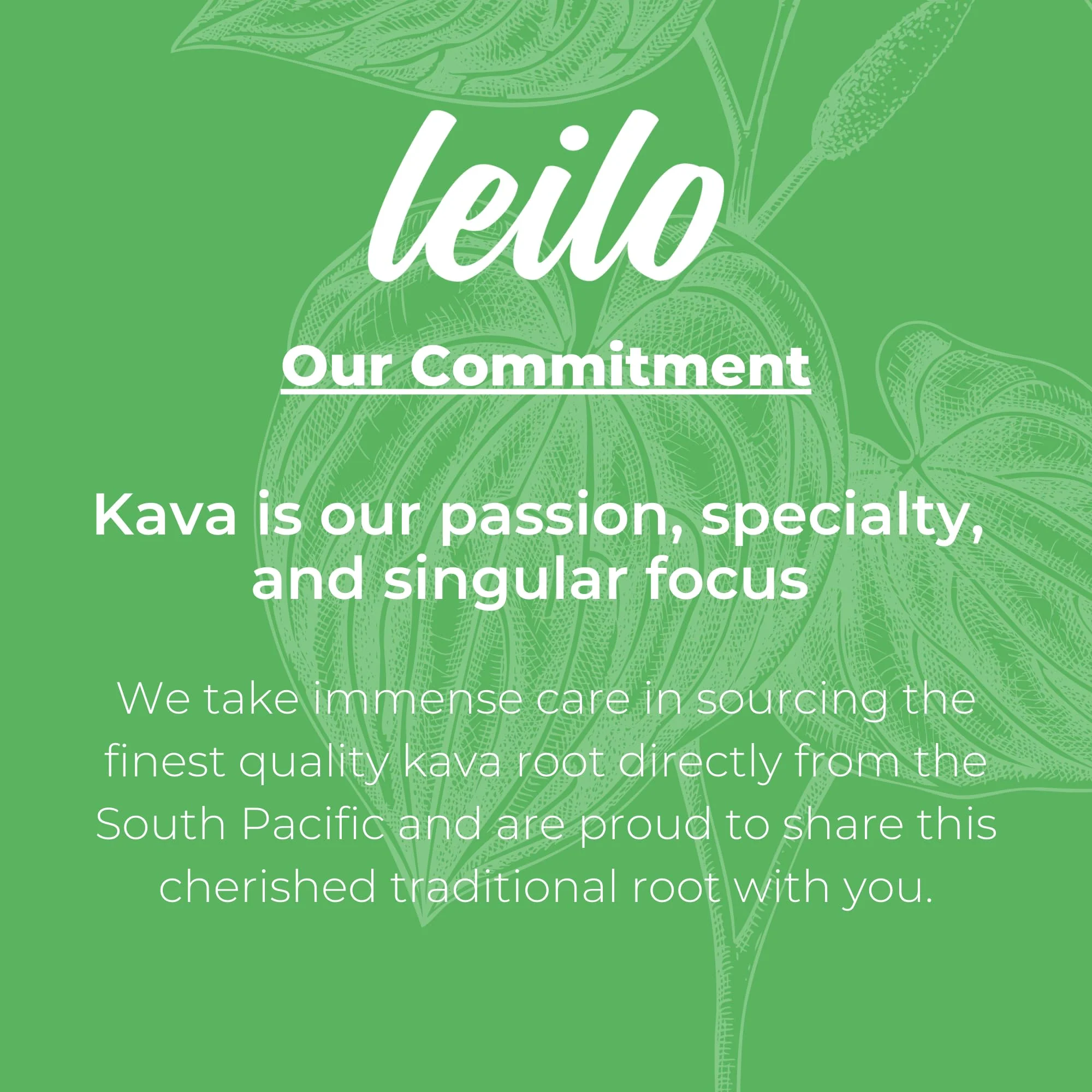 LEILO Kava Powered Sparkling Relaxation Drink | Classic Variety Pack – Raspberry Hibiscus, Tangerine Mango & BlackBerry Orange (12 x 12 oz Cans) - Image 12