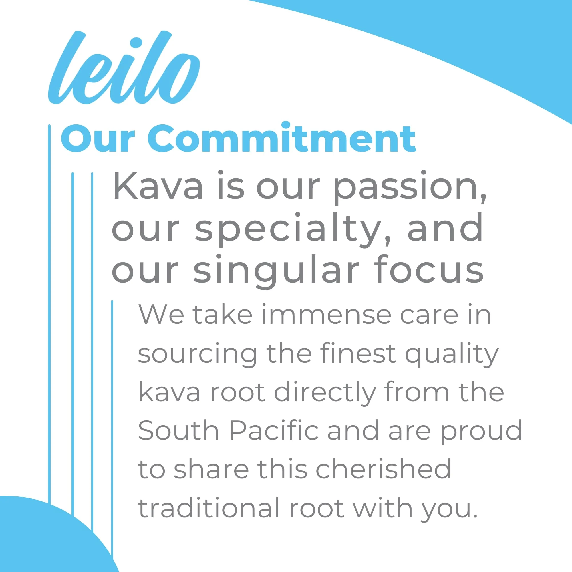 LEILO Kava Powered Sparkling Relaxation Drink | Classic Variety Pack – Raspberry Hibiscus, Tangerine Mango & BlackBerry Orange (12 x 12 oz Cans) - Image 7