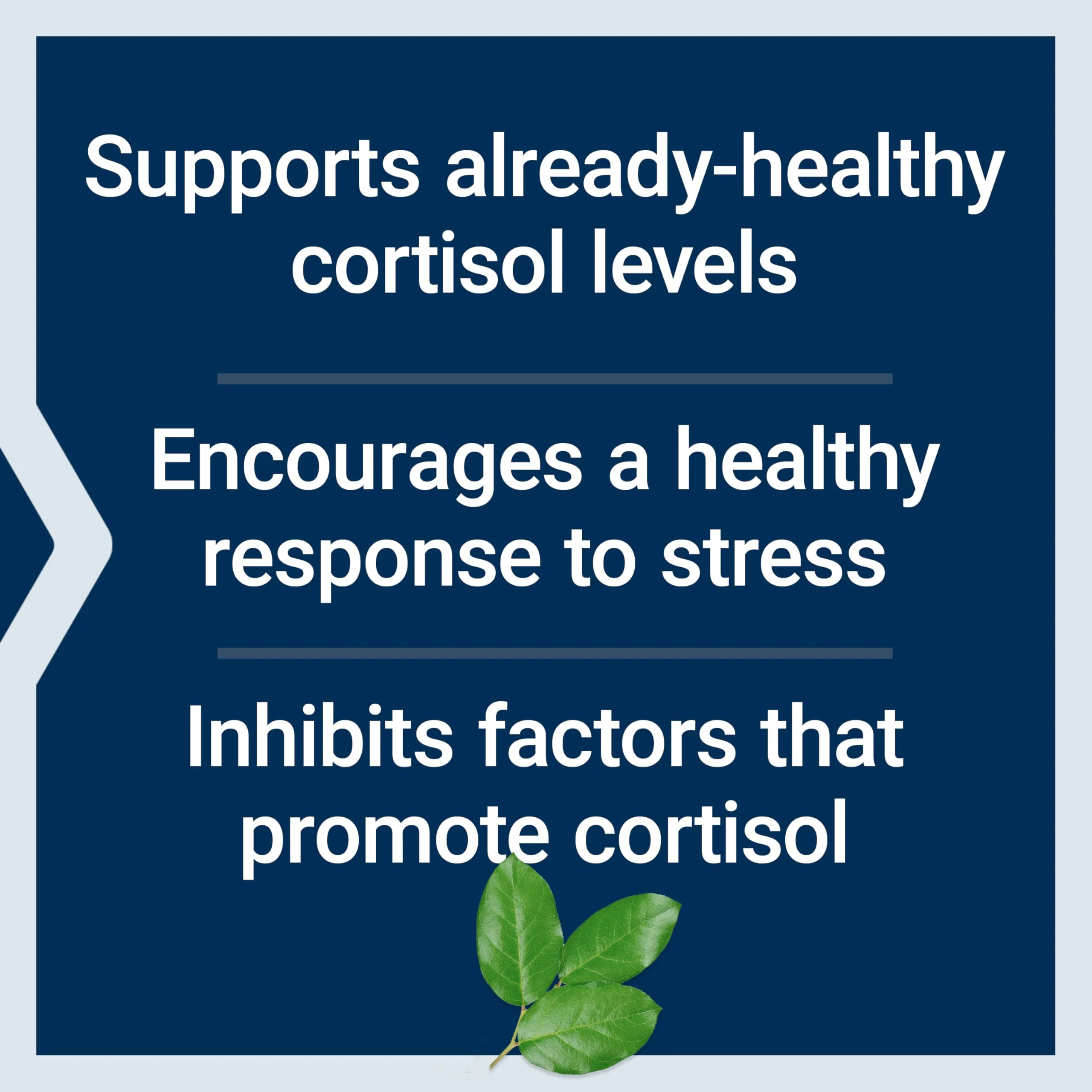 Life Extension Cortisol-Stress Balance | Relora Magnolia Bark, Green Tea & Lychee Extract | 30 Vegetarian Capsules - Image 4