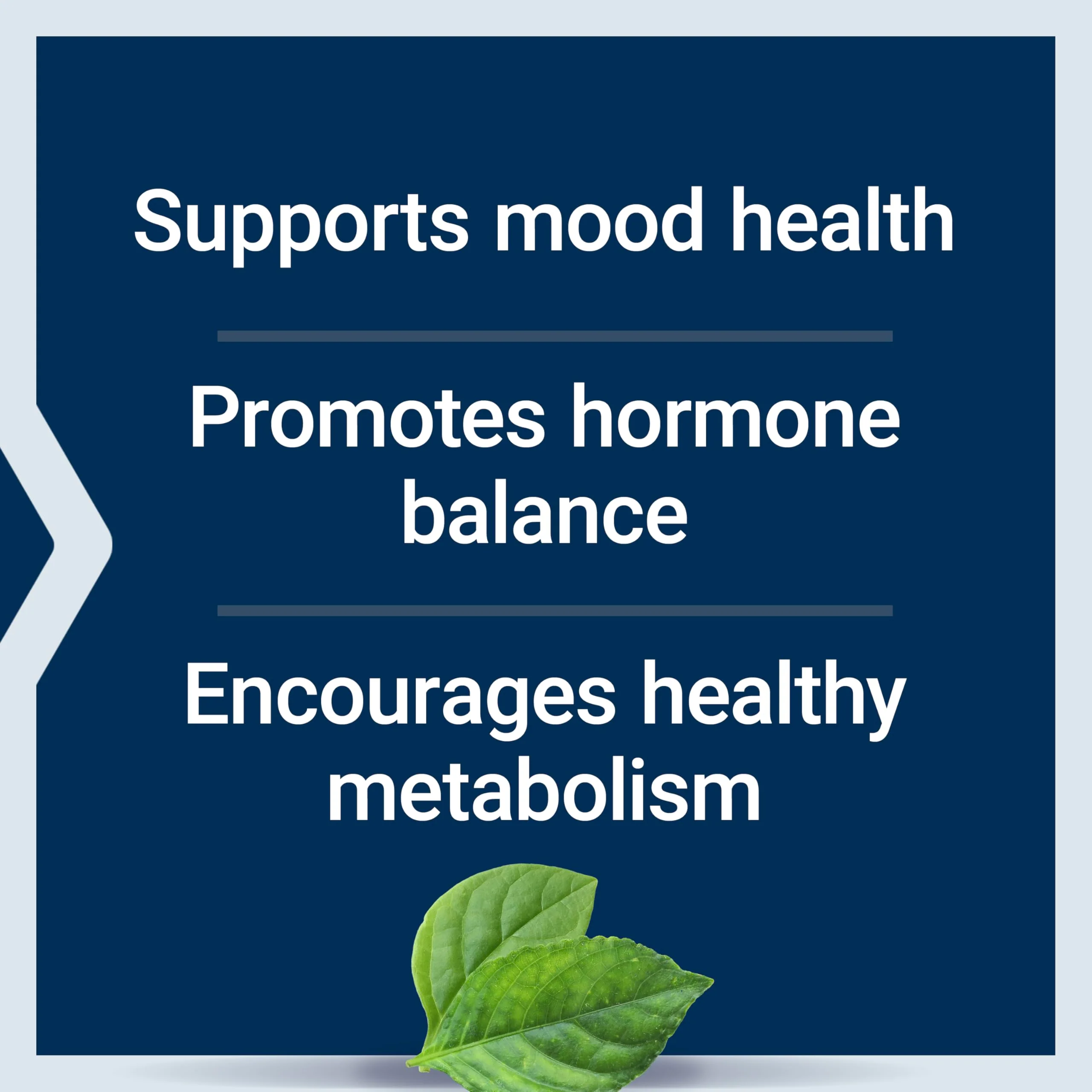 Life Extension Inositol Caps – 1000 mg Myo-Inositol for Mood, Metabolism & Hormone Balance – Gluten-Free, Non-GMO, Vegetarian – 360 Capsules - Image 12