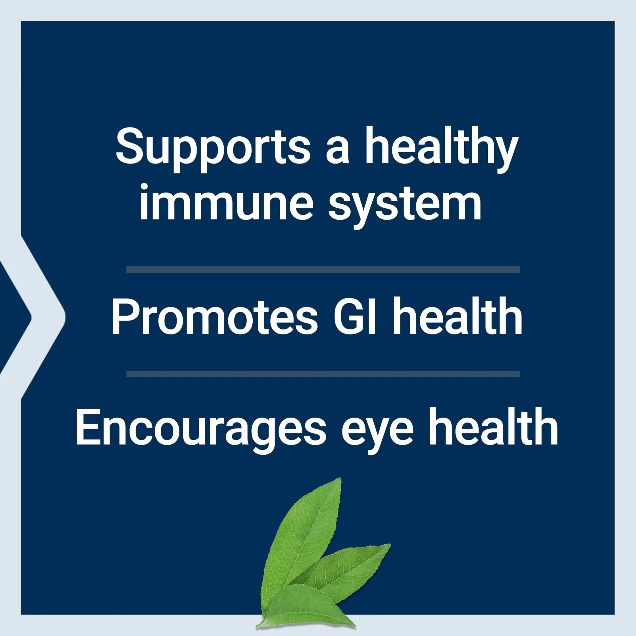 Life Extension Lactoferrin Caps — Immune Support, GI Health, Vision Health | Gluten-Free, Non-GMO, 60 Capsules - Image 13