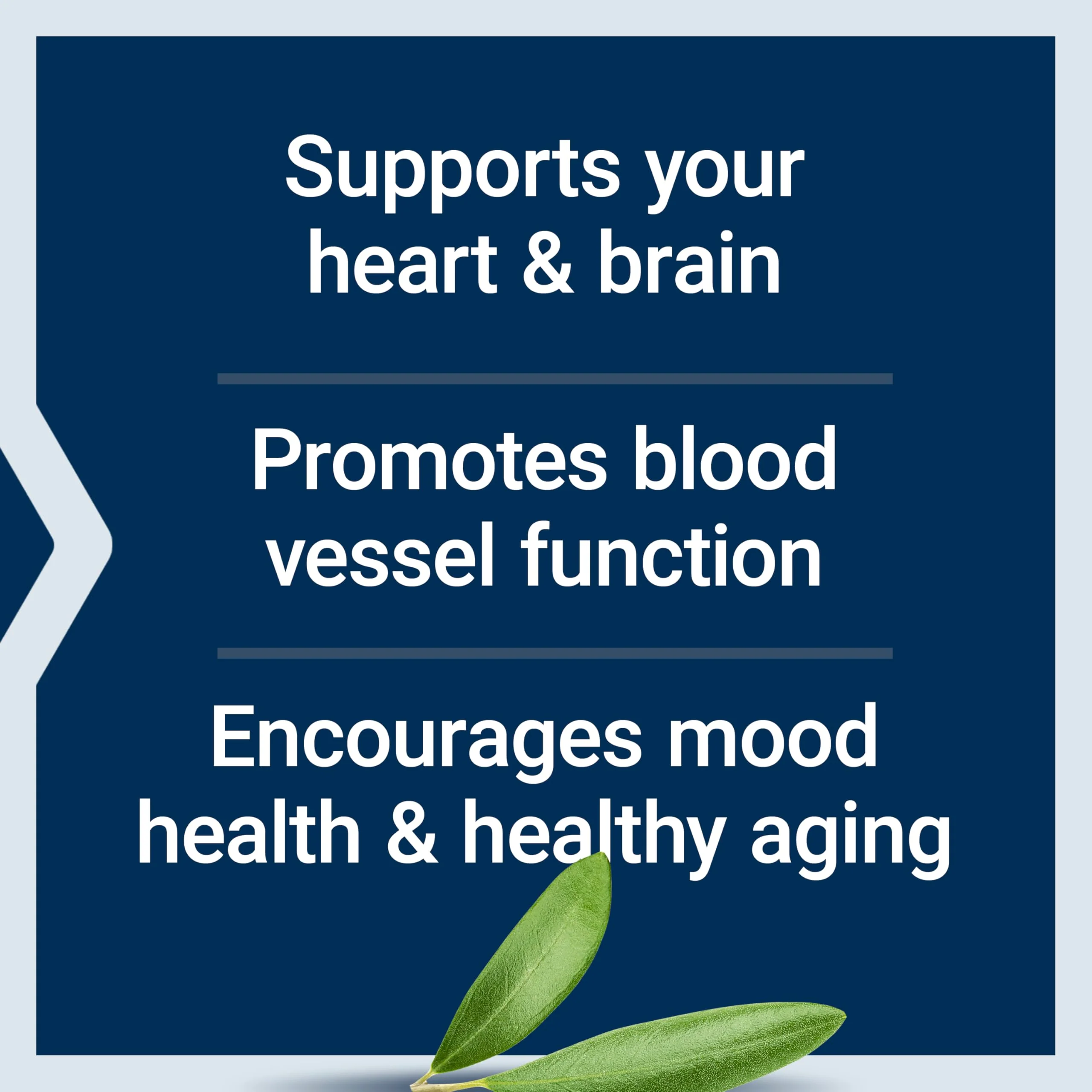 Life Extension Super Omega-3 EPA/DHA with Sesame Lignans & Olive Extract – Heart & Brain Health (120 Softgels) - Image 4