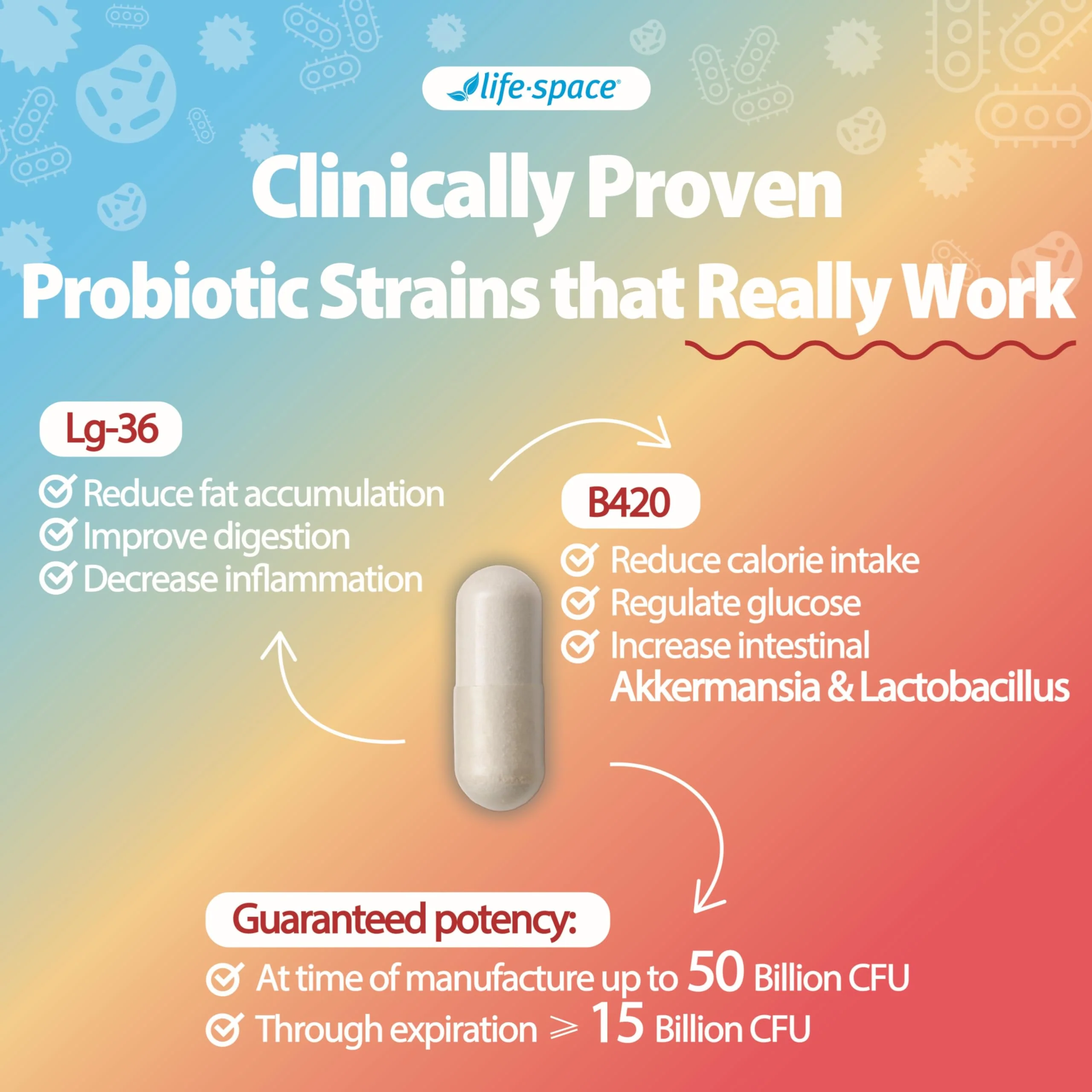 Life-Space Shape B420 Probiotics — Prebiotic + Probiotic for Metabolism Support, 60 Veg Capsules (2-Month Serving) - Image 14