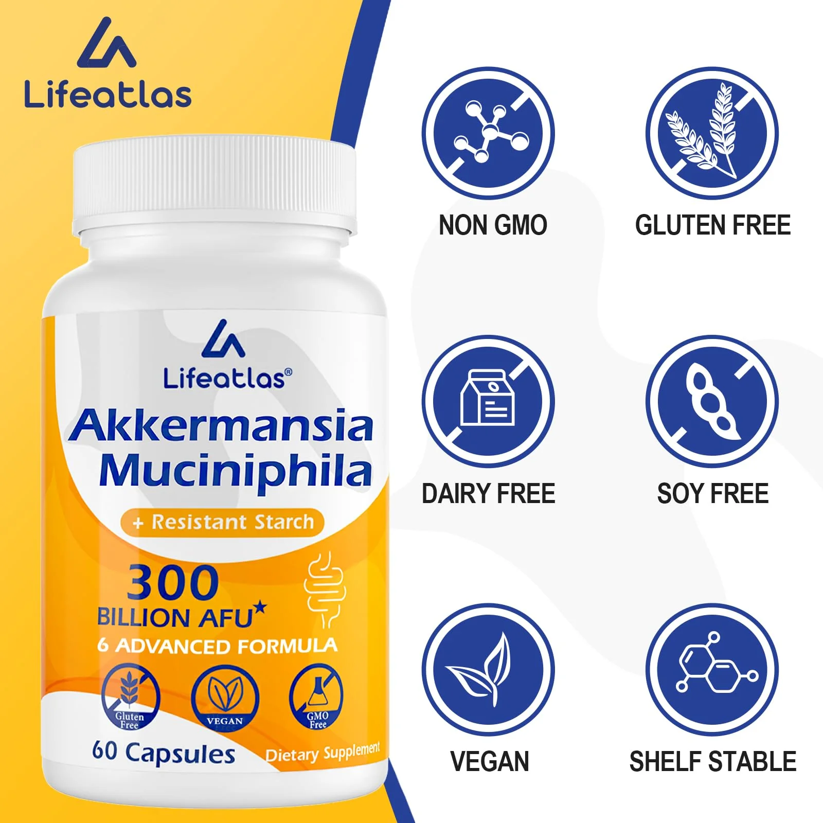 Lifeatlas Akkermansia Probiotic Supplement | 300 Billion AFU, 6-in-1 Gut Health, 60 Capsules - Image 11