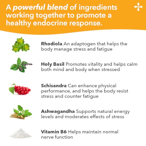 LifeSeasons Adrenal-T – Adrenal Fatigue Support with Ashwagandha Adaptogens | 60 Capsules - Image 4
