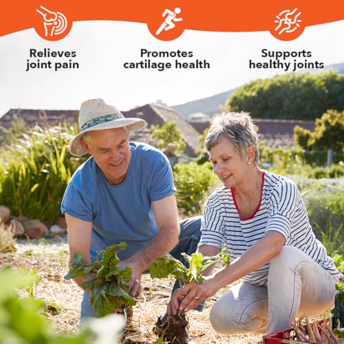 LifeSeasons Mobili-T Joint Support Supplement - MSM, Chondroitin, Collagen, Glucosamine & Turmeric | 208 Capsules - Image 9