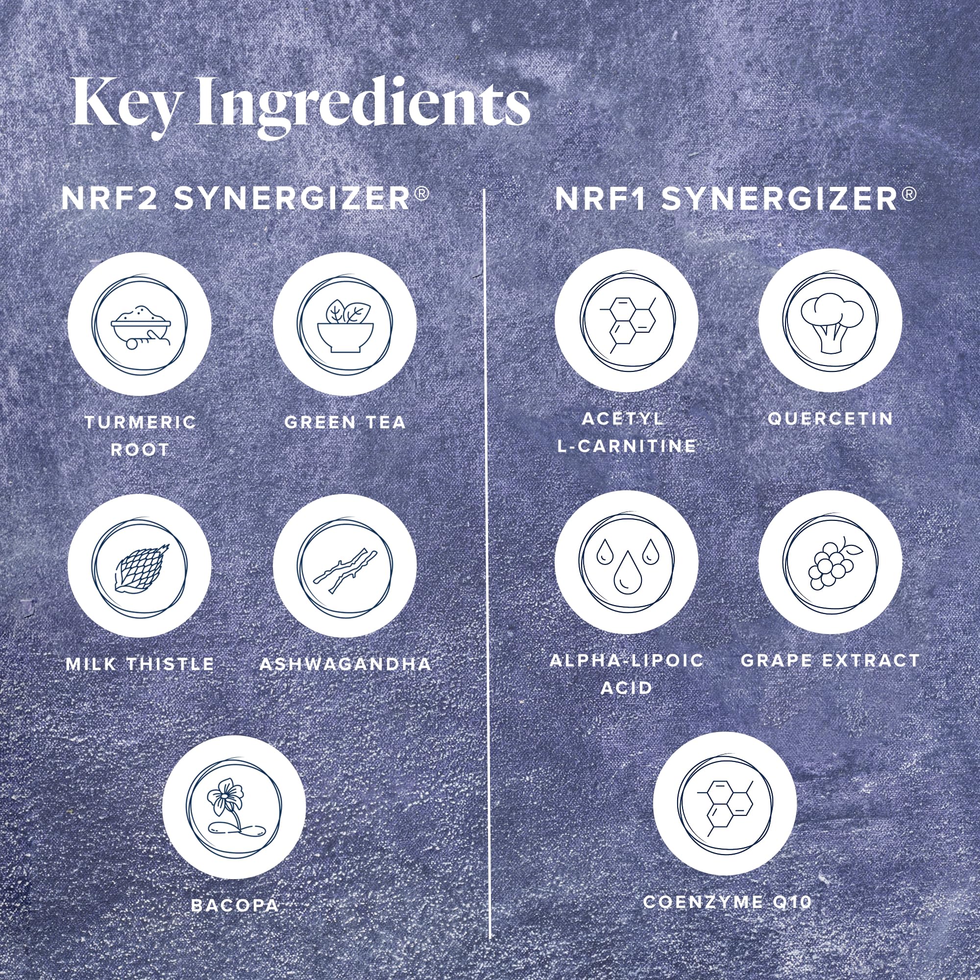 LifeVantage Protandim Dual Synergizer NRF1 + NRF2 Activators – Cellular Energy & Healthy Aging (60 NRF1 + 30 NRF2 Caps) - Image 13