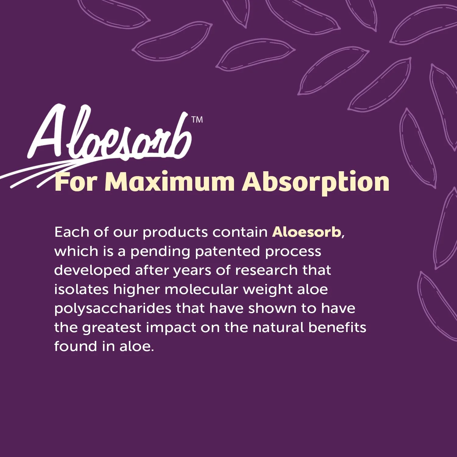 Lily Of The Desert Aloe Vera 80 Stomach Formula – 32 Oz Pack of 3 | Aloe Vera Juice with Slippery Elm, Chamomile, Peppermint & Ginger for Gut Health - Image 2